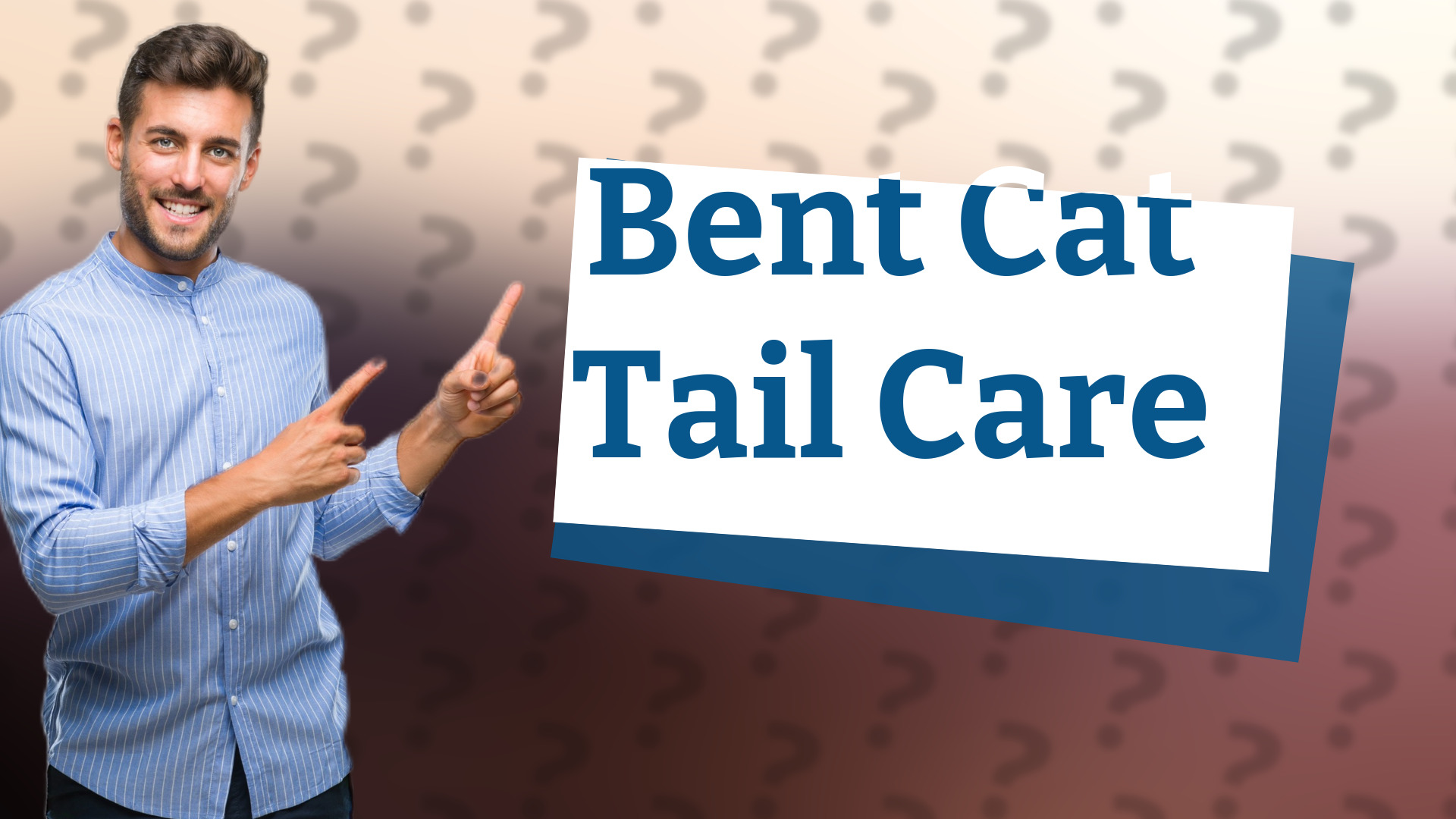 Bent Cat Tail Care