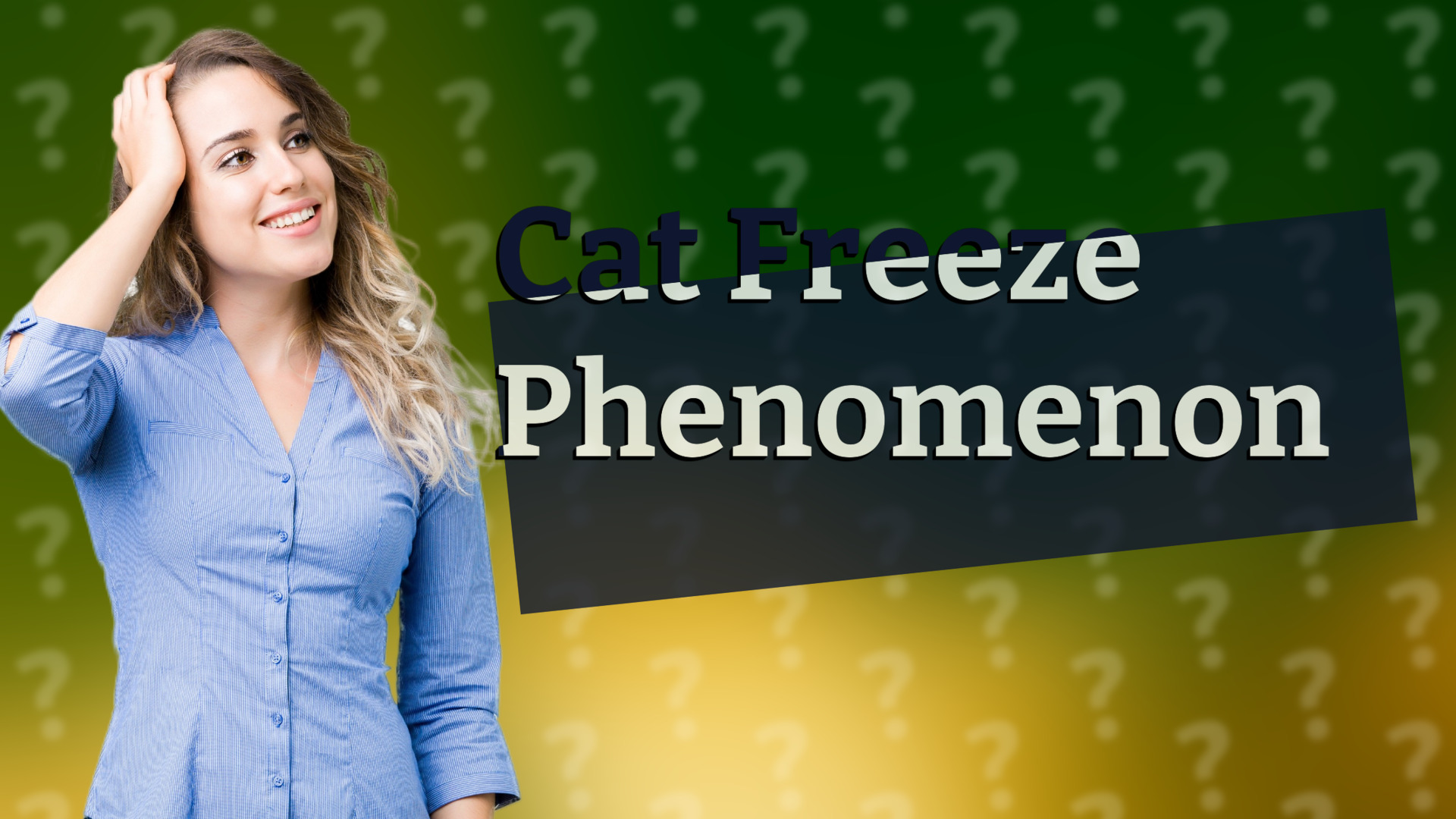 Cat Freeze Phenomenon