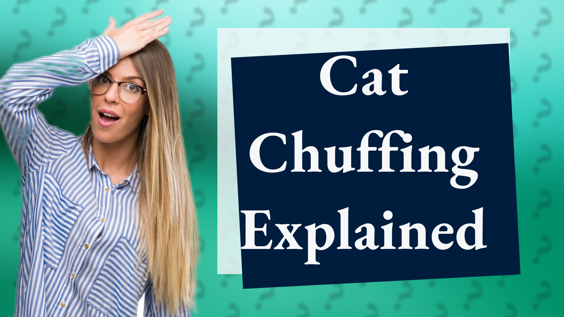 Cat Chuffing Explained