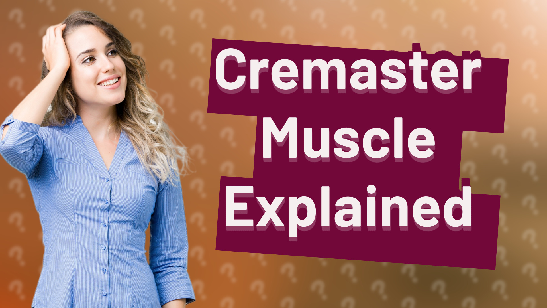 Cremaster Muscle Explained