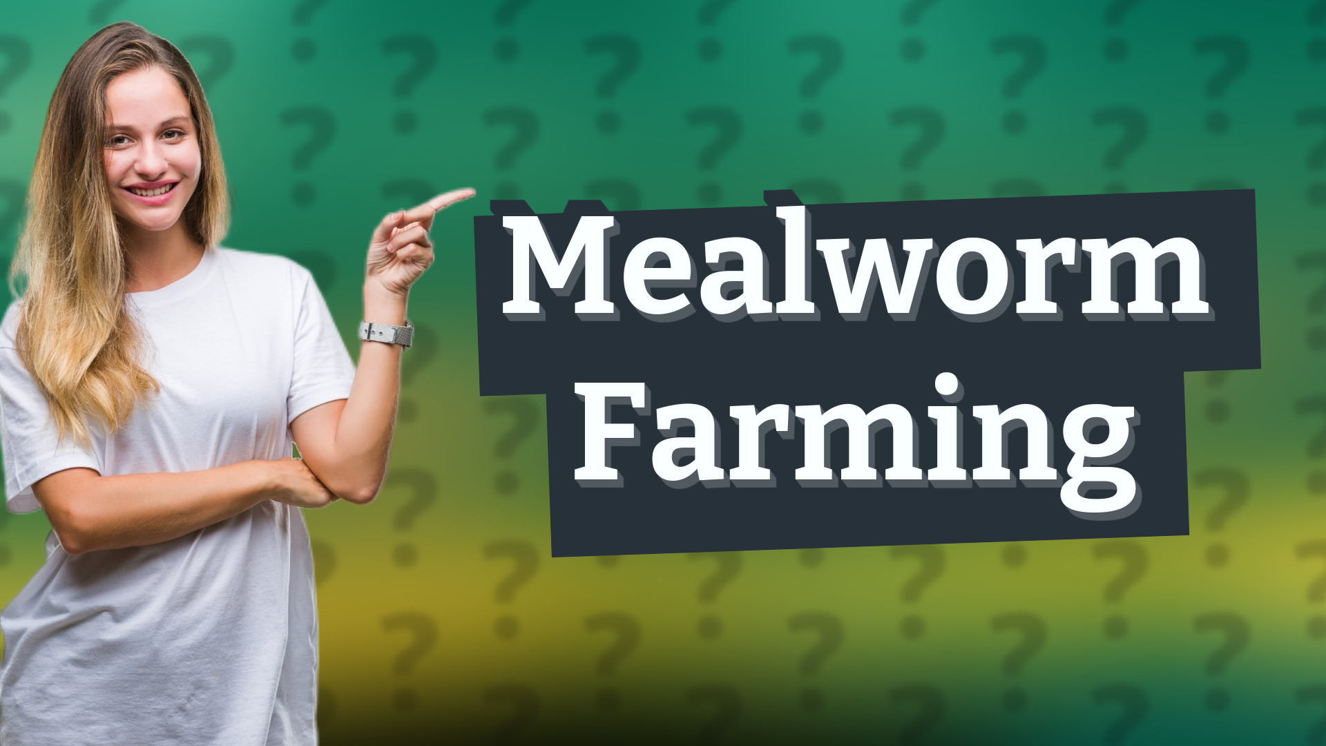 Mealworm Farming