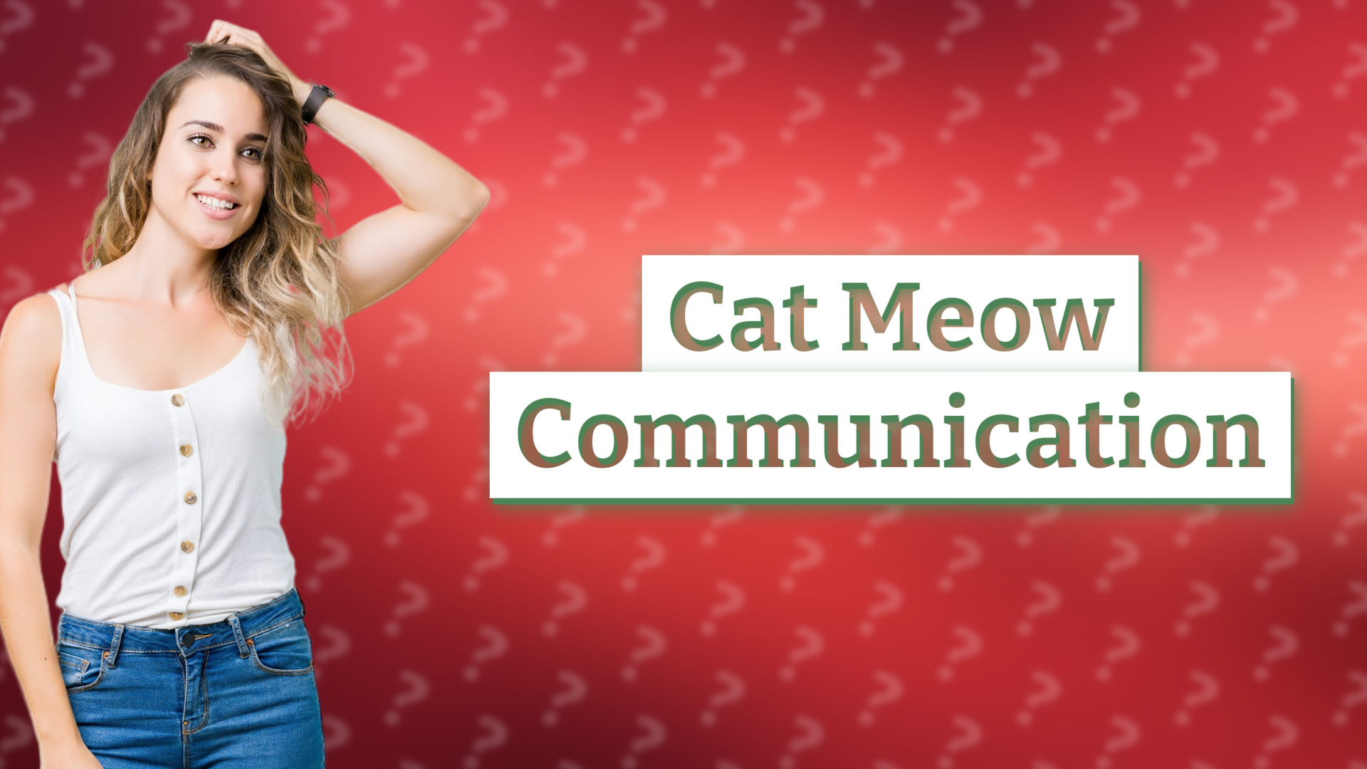 Cat Meow Communication