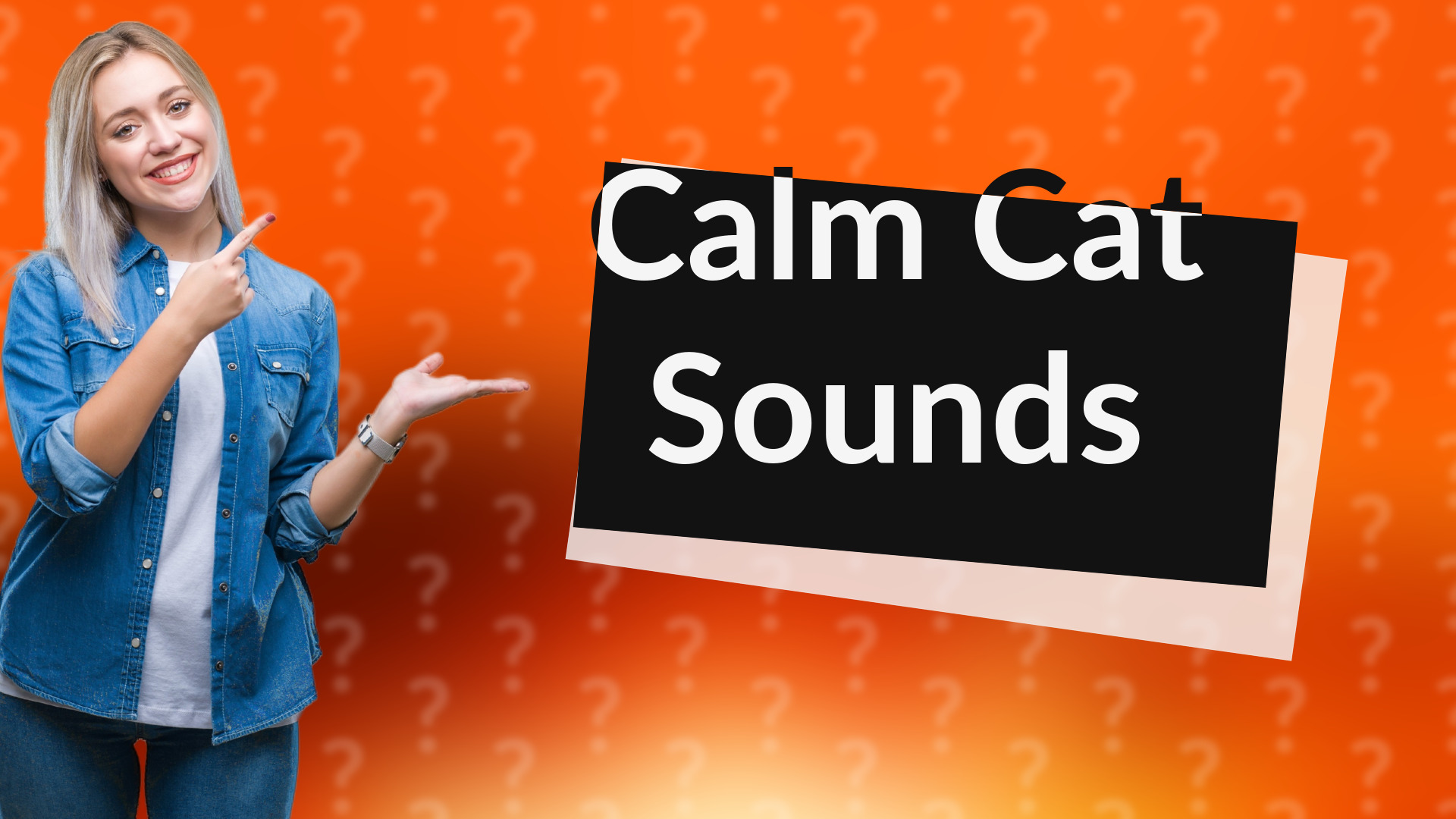 Calm Cat Sounds