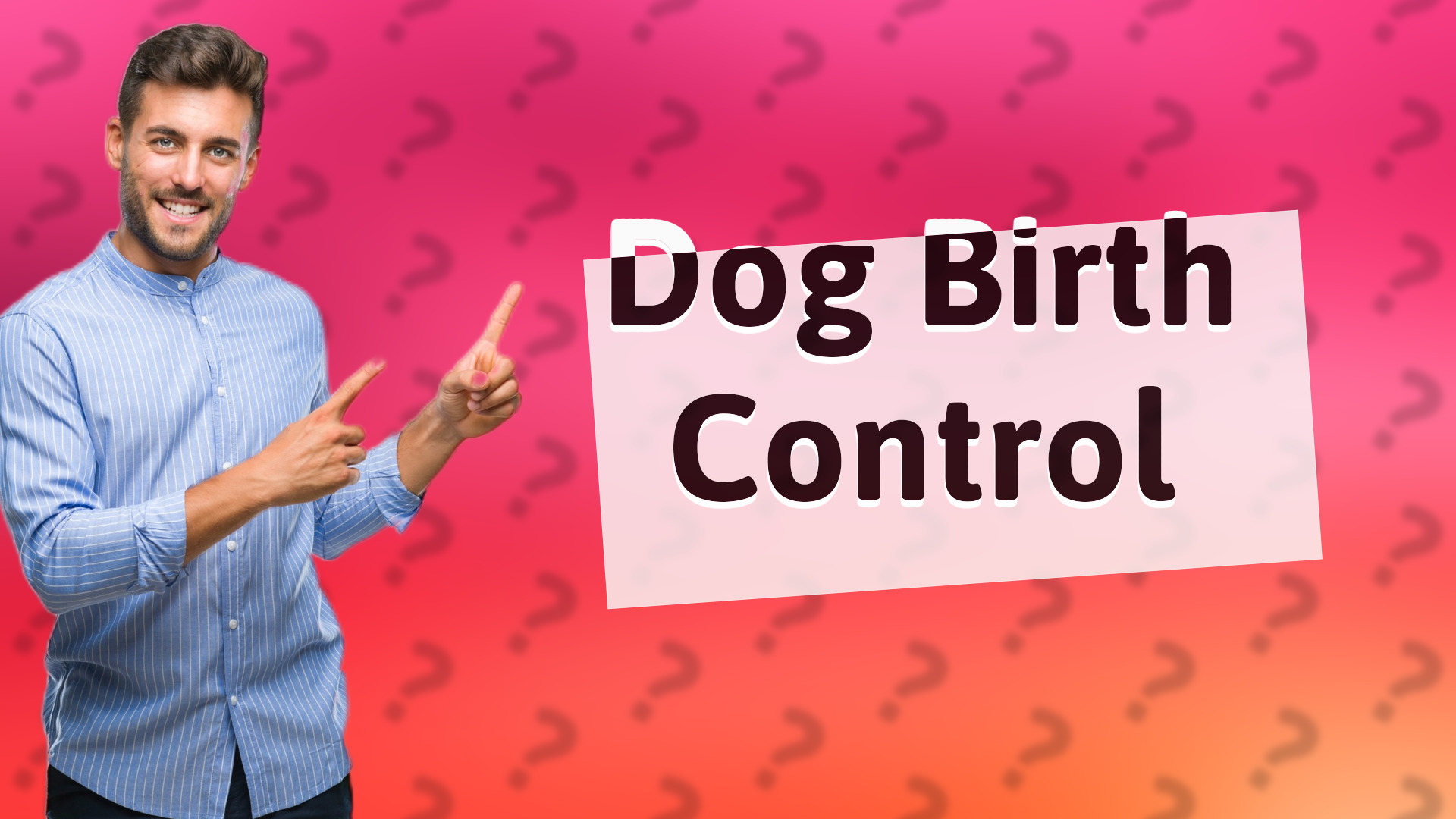 Dog Birth Control