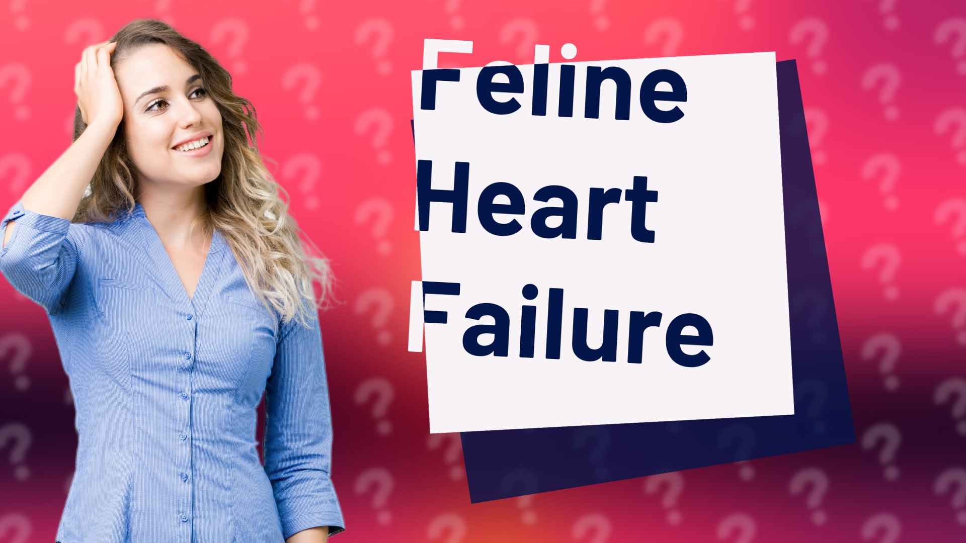 Feline Heart Failure