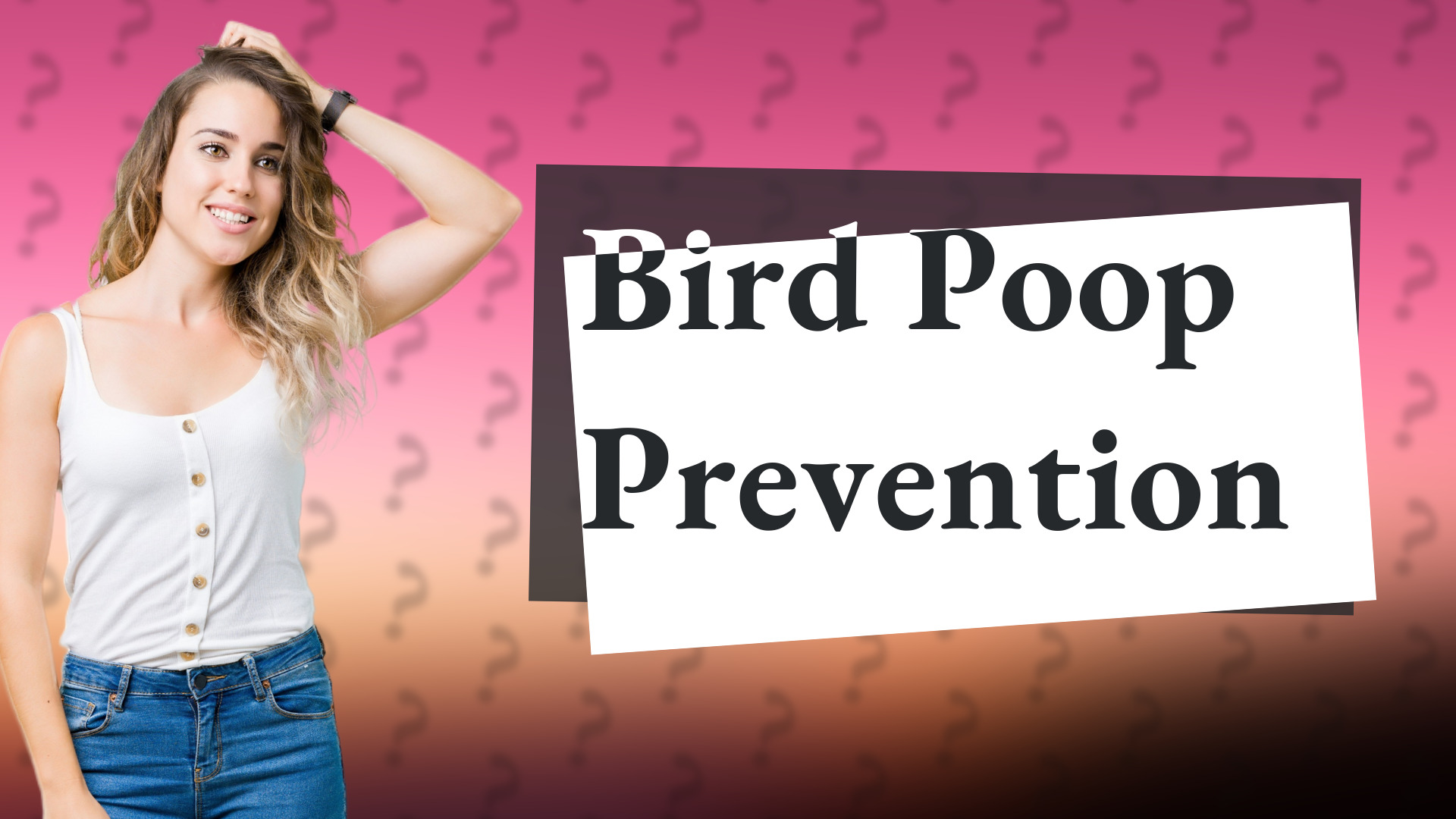 Bird Poop Prevention