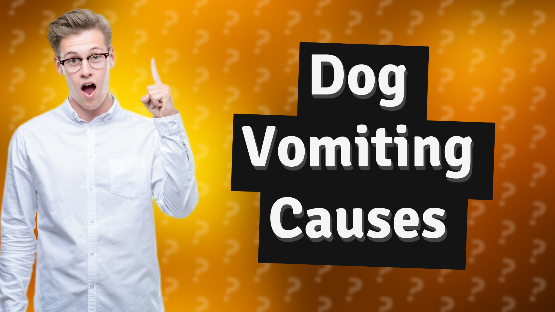 Dog Vomiting Causes