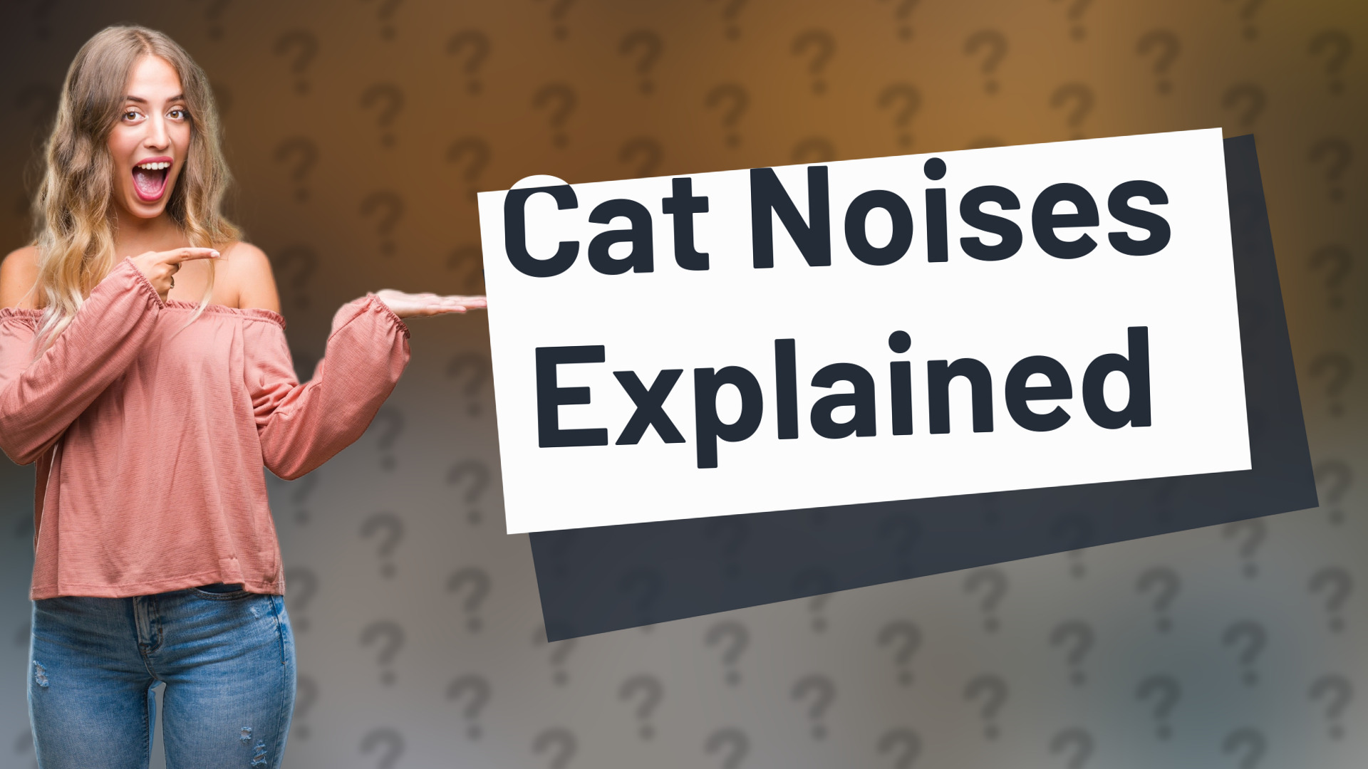 Cat Noises Explained
