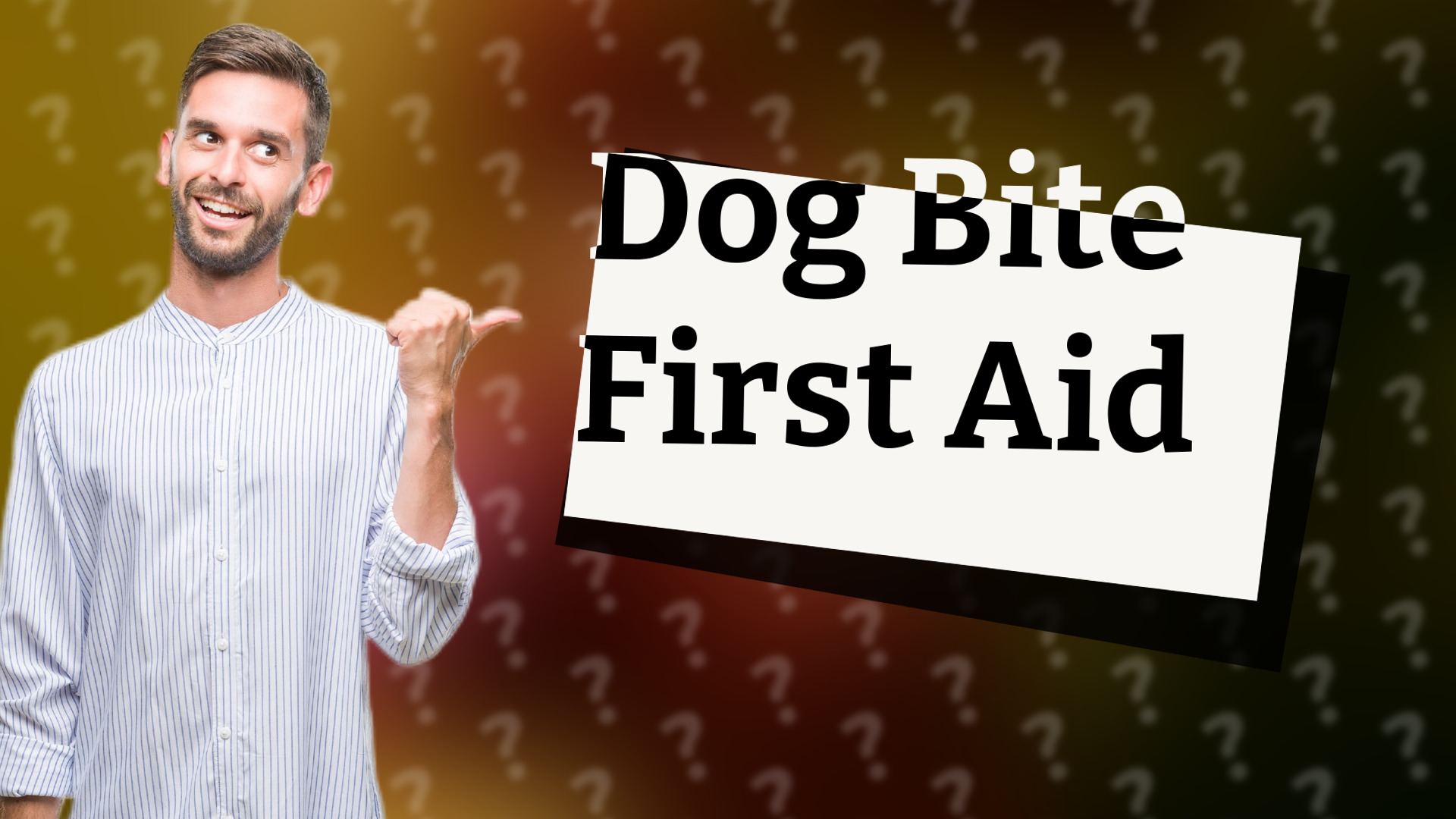 Dog Bite First Aid