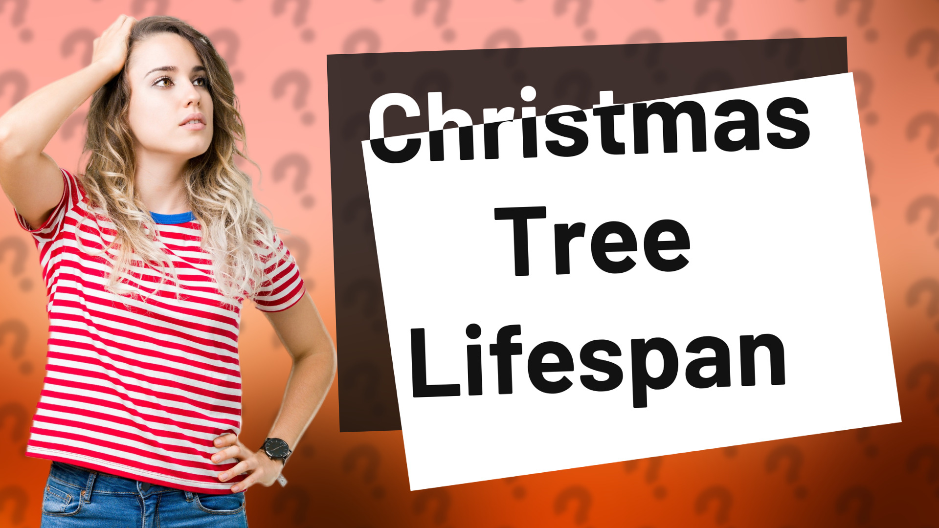 Christmas Tree Lifespan