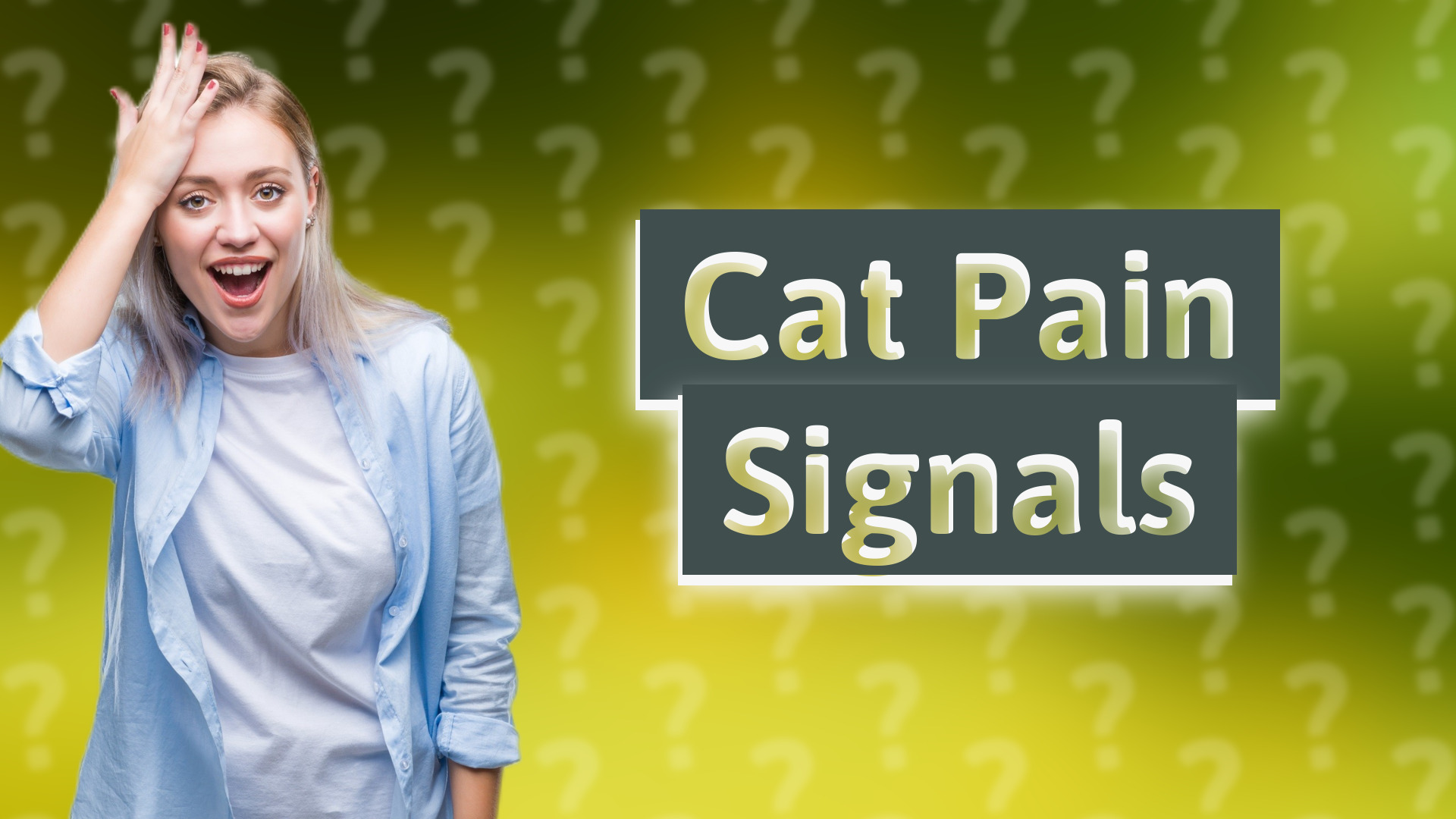 Cat Pain Signals