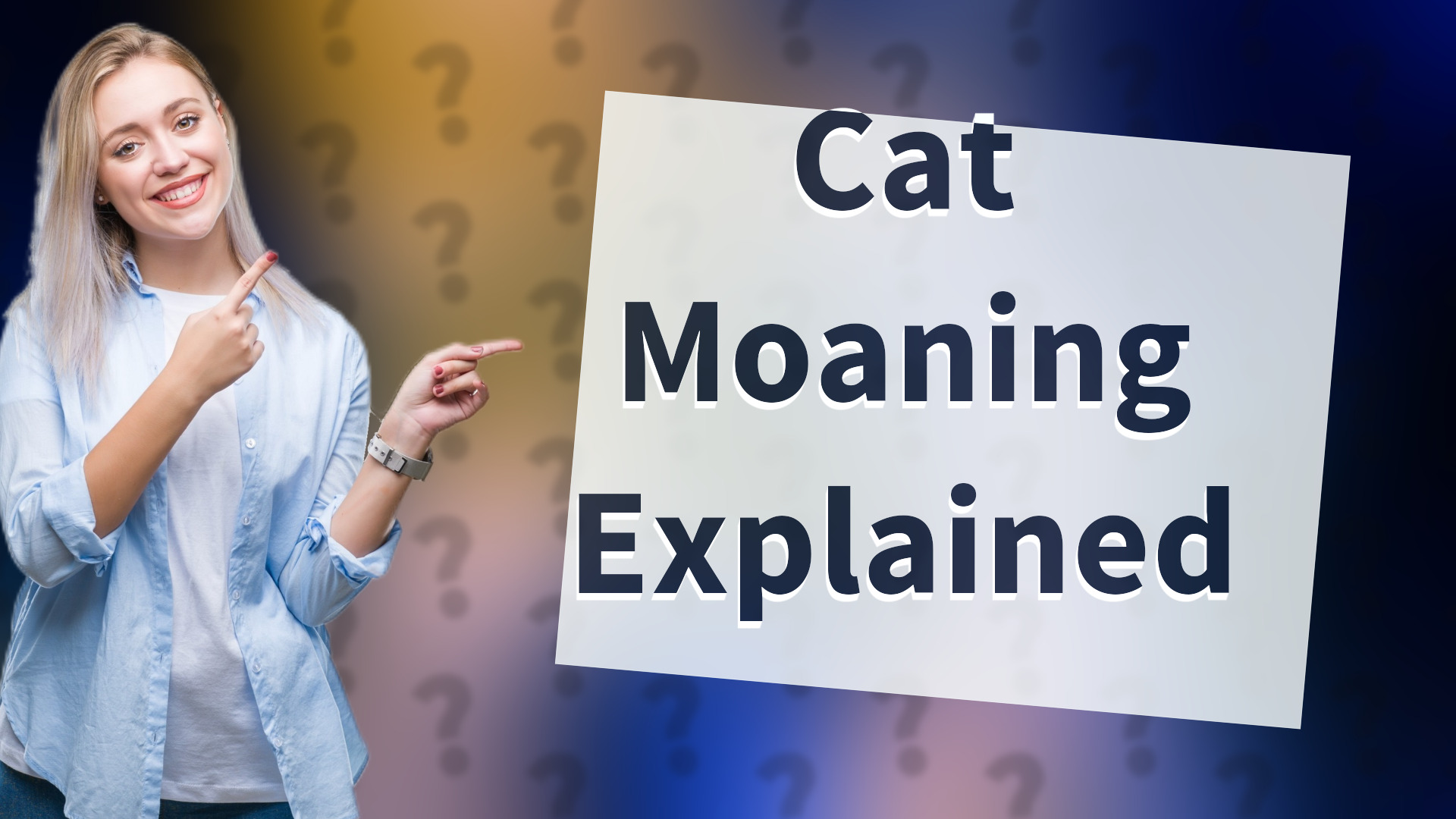 Cat Moaning Explained