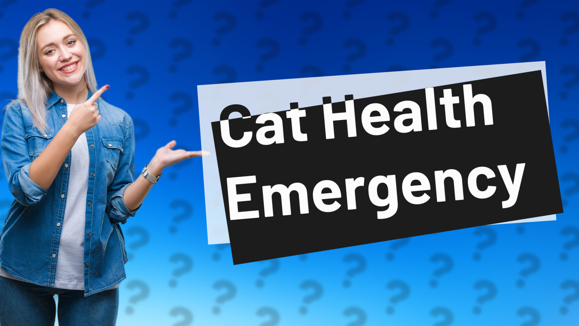 Cat Health Emergency