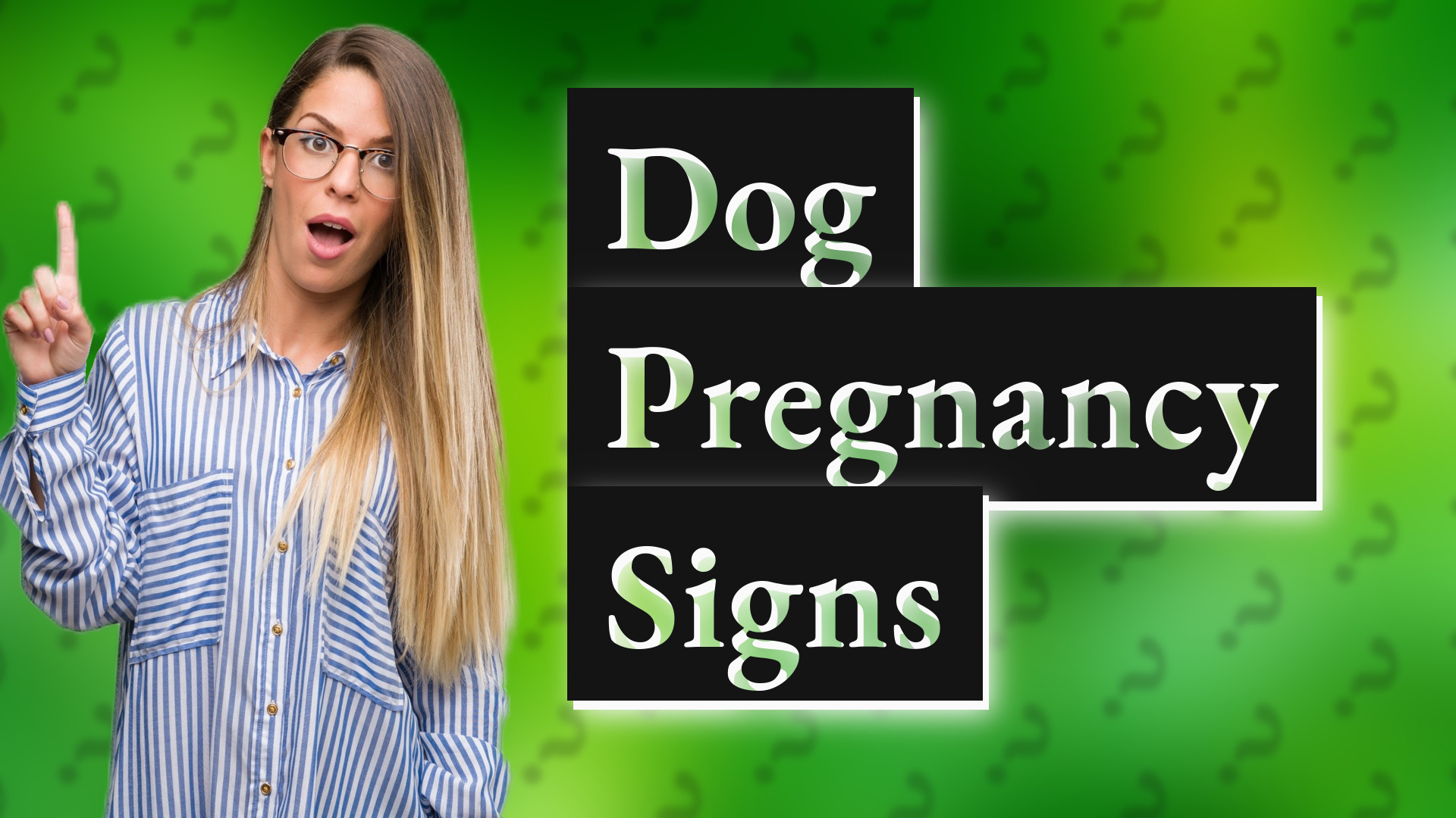 Dog Pregnancy Signs