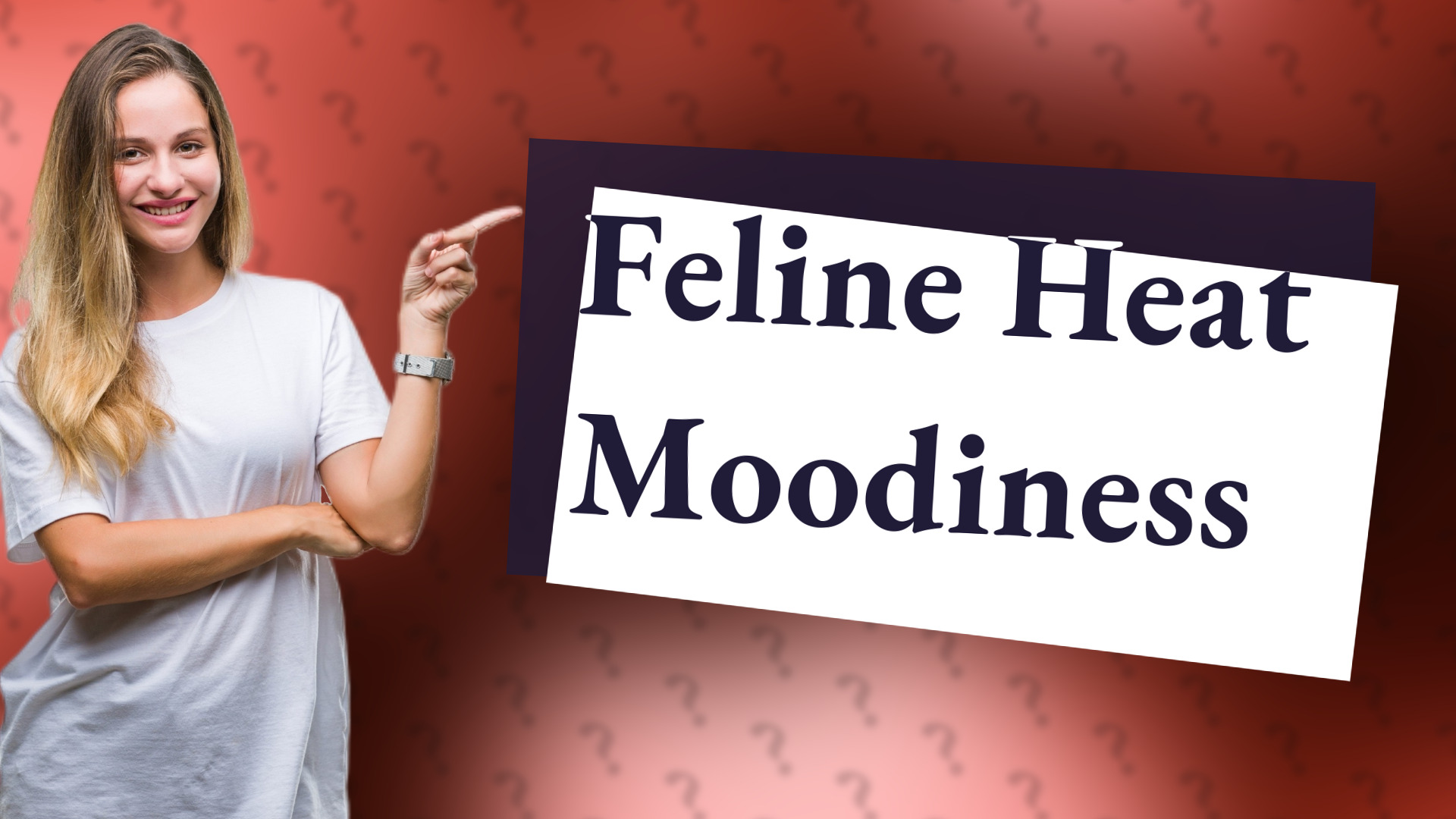 Feline Heat Moodiness