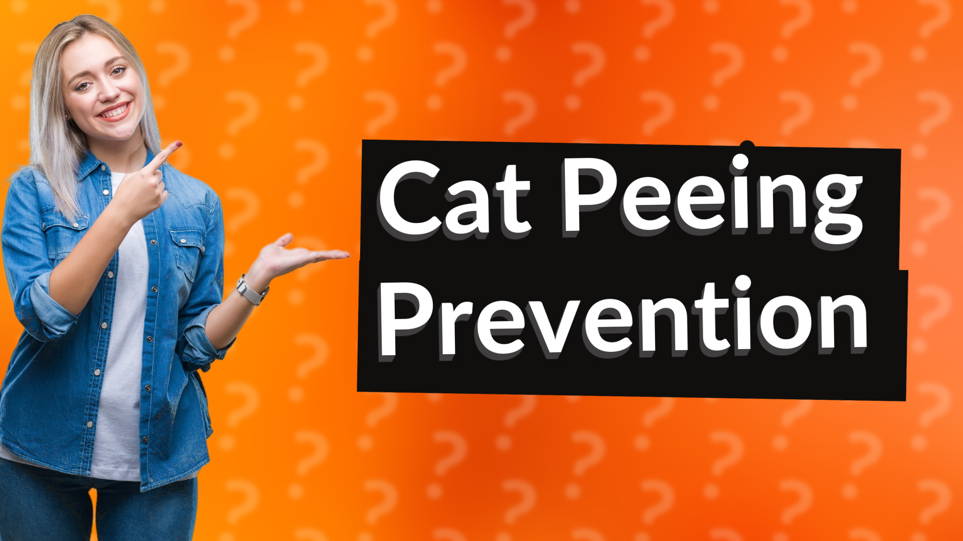 Cat Peeing Prevention
