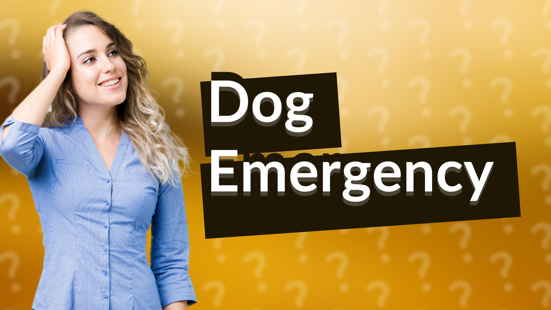 Dog Emergency