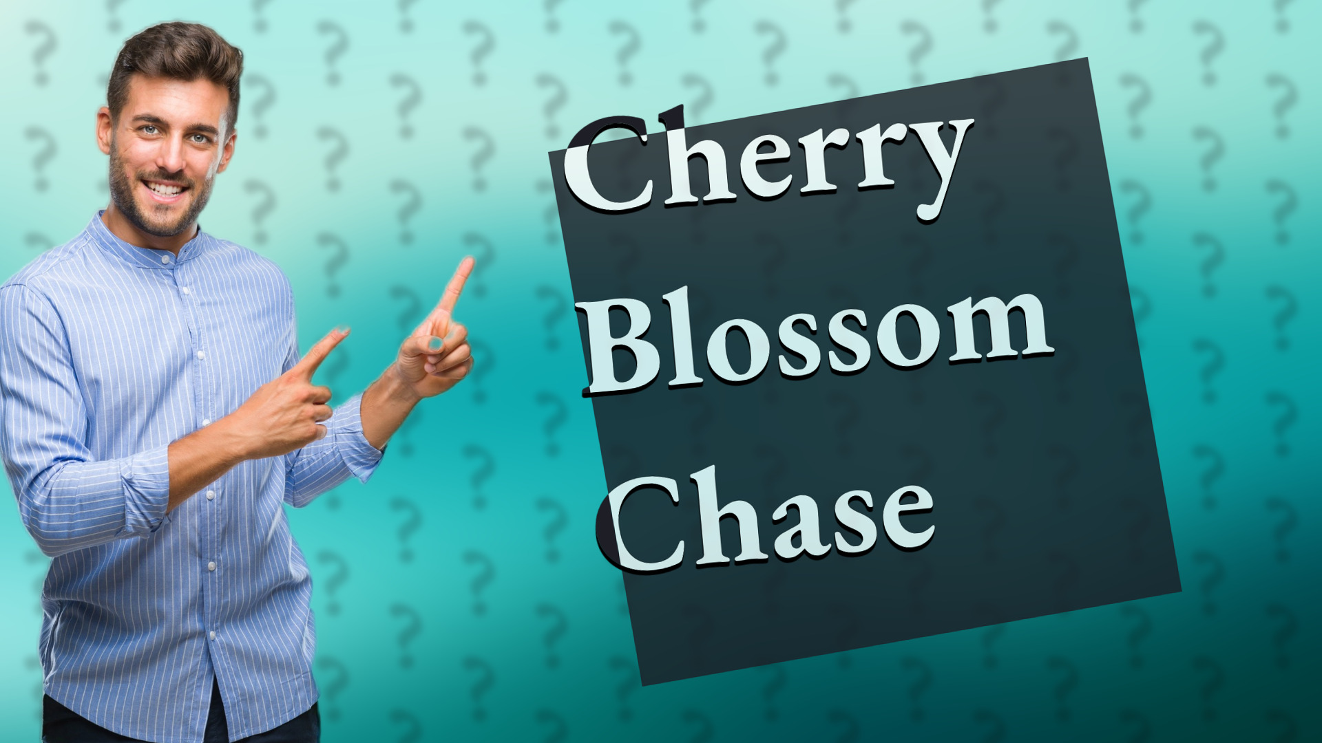Cherry Blossom Chase