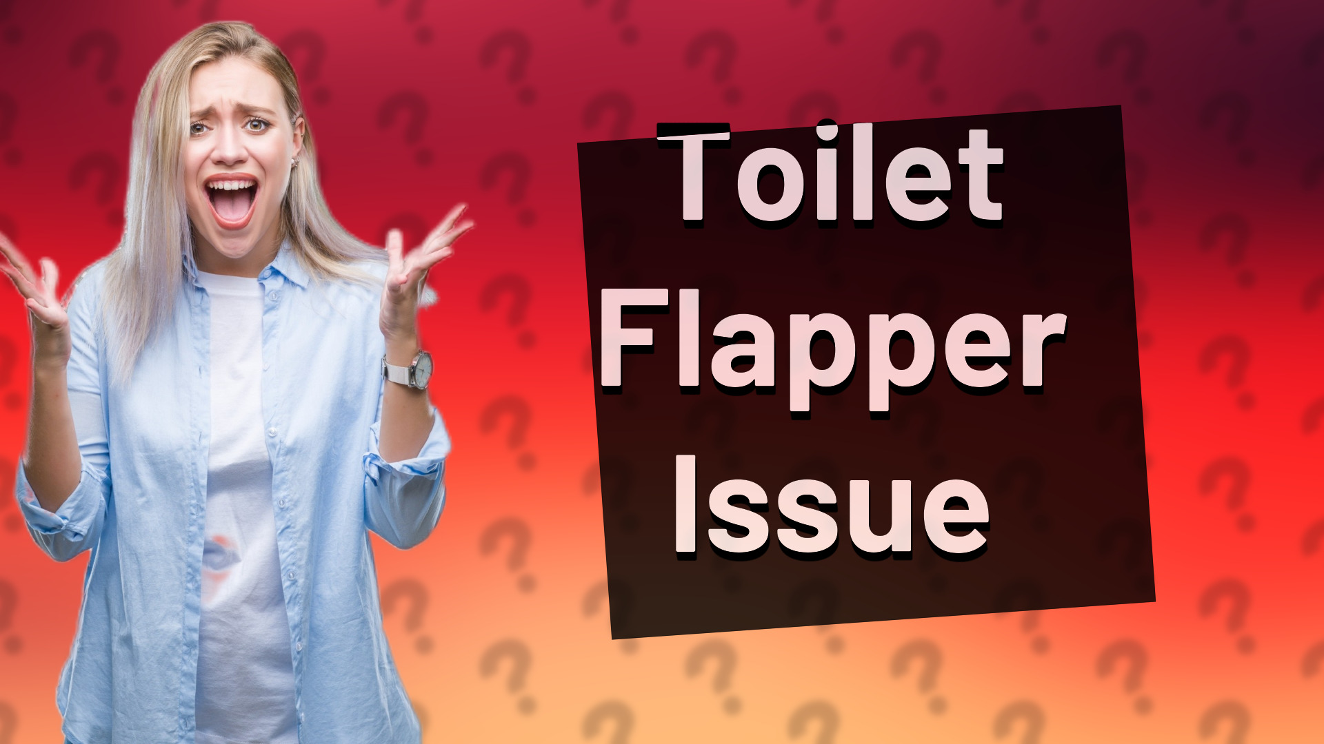 Toilet Flapper Issue