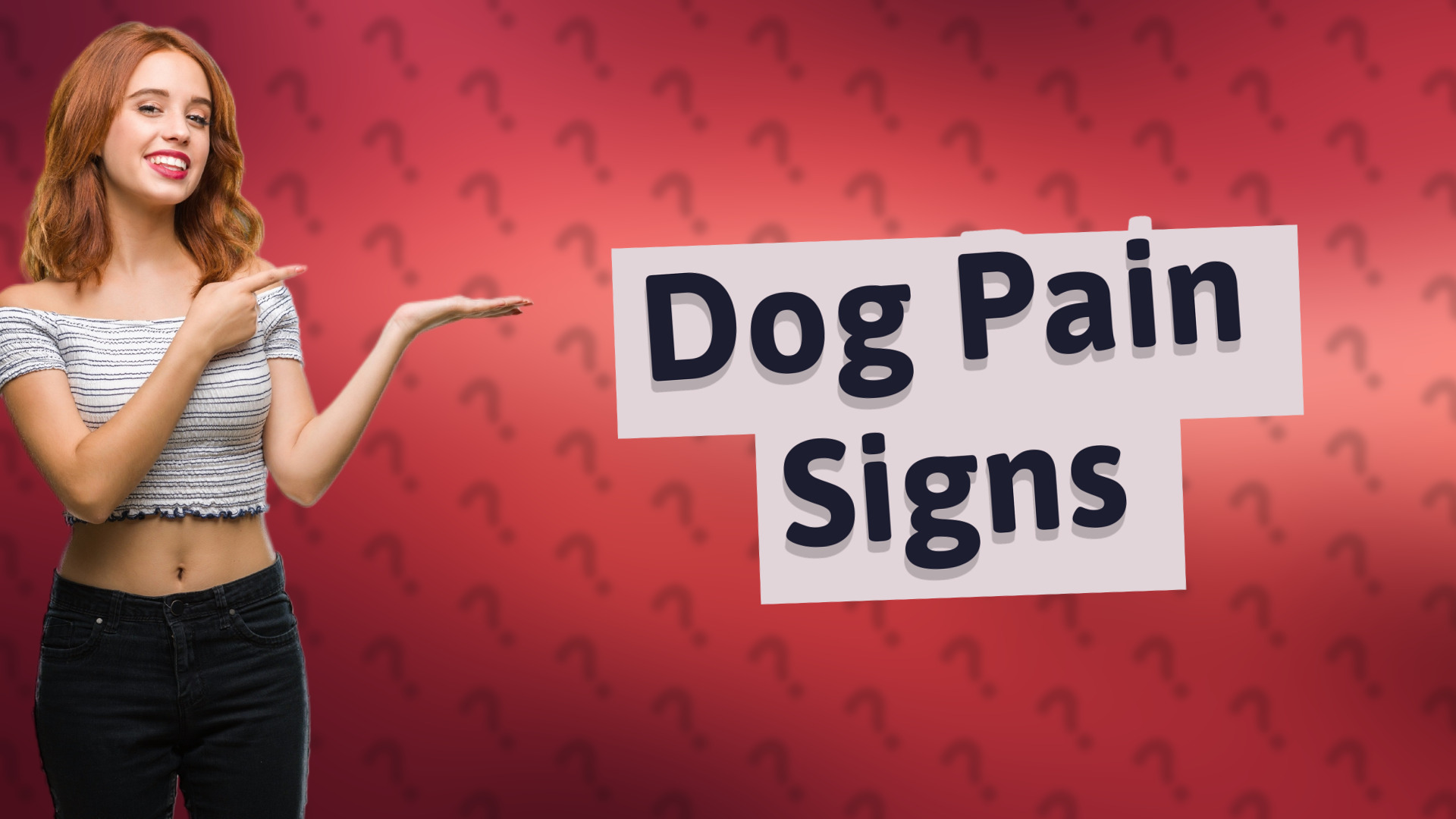 Dog Pain Signs
