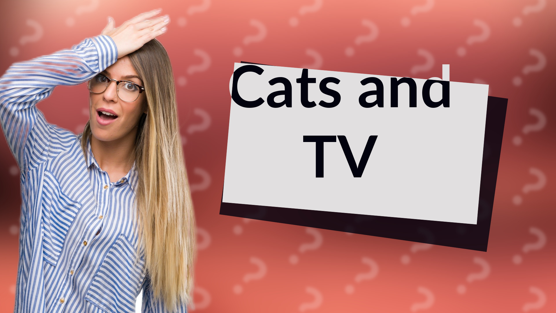 Cats and TV