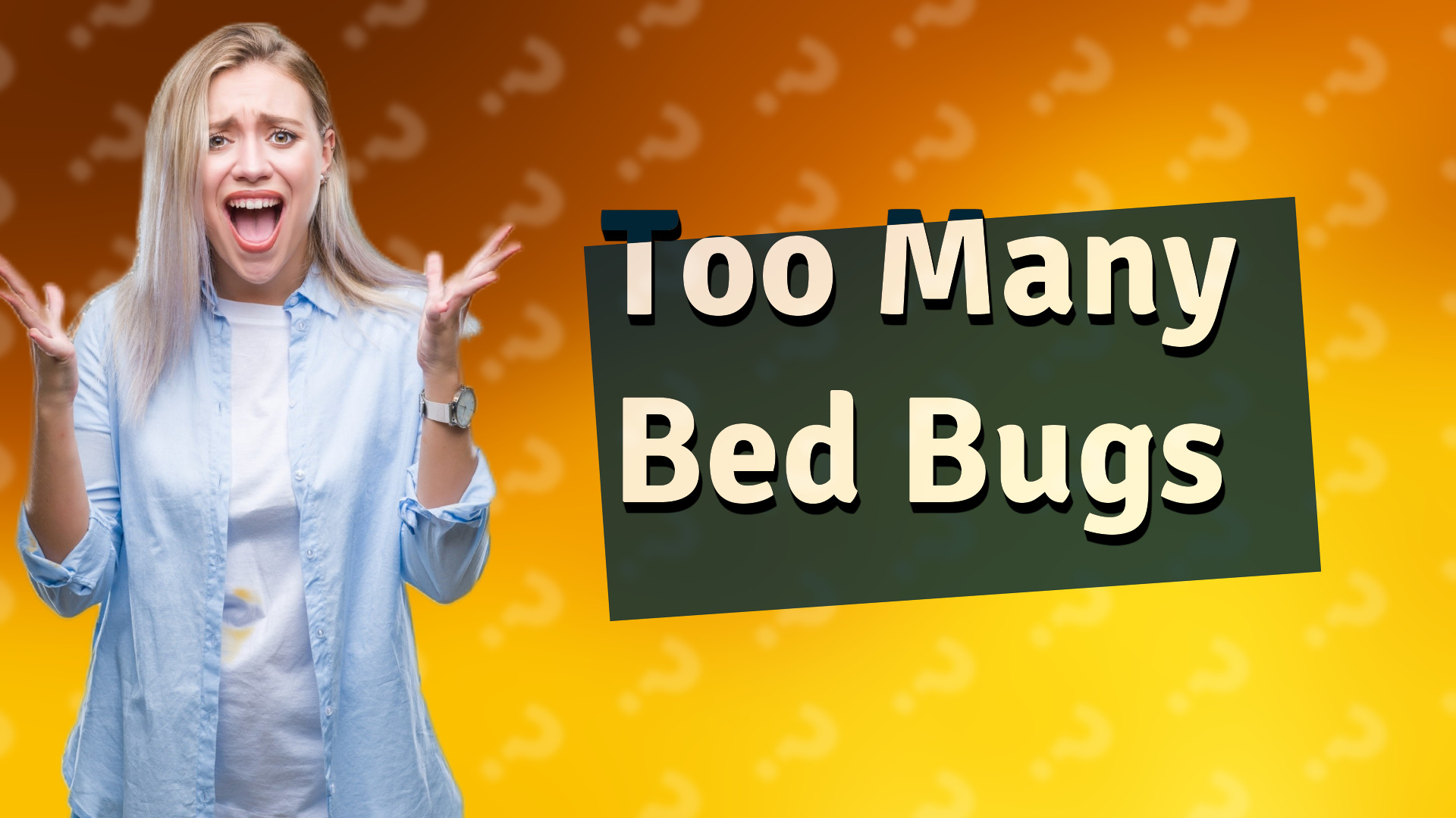 Too Many Bed Bugs