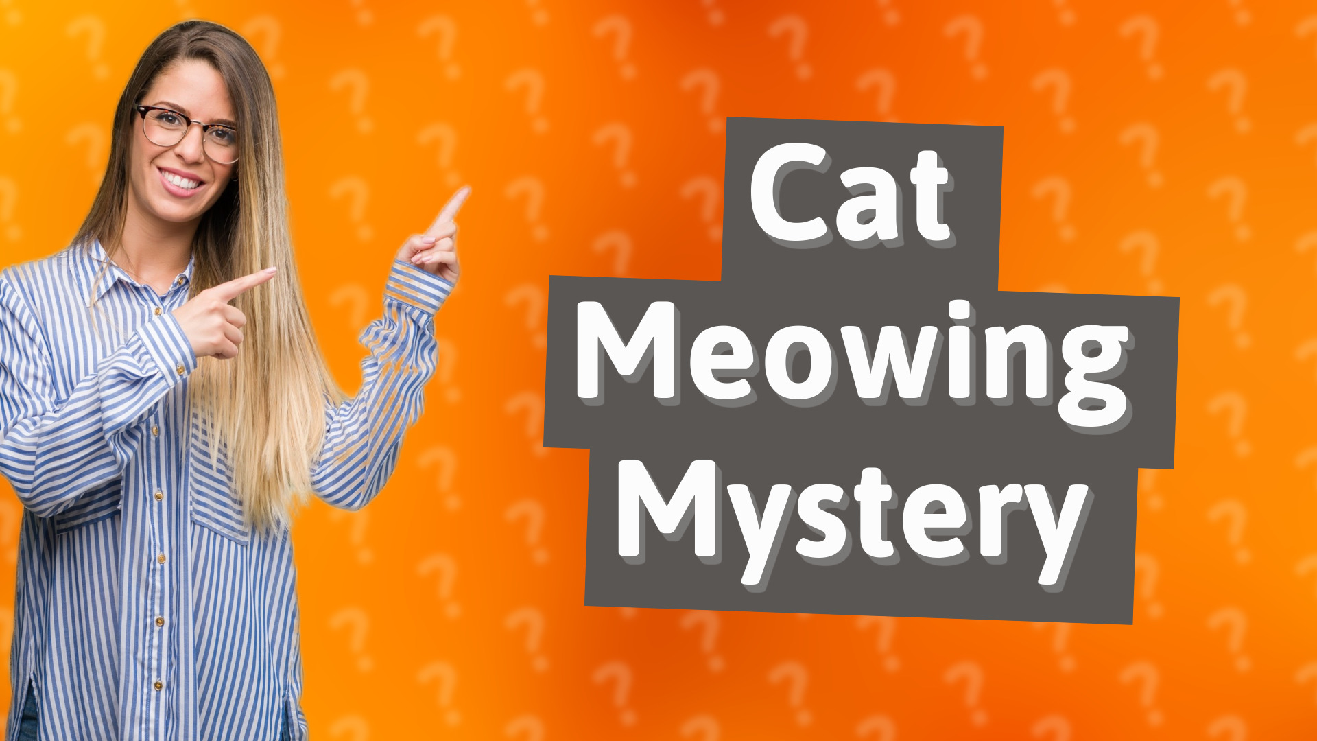 Cat Meowing Mystery