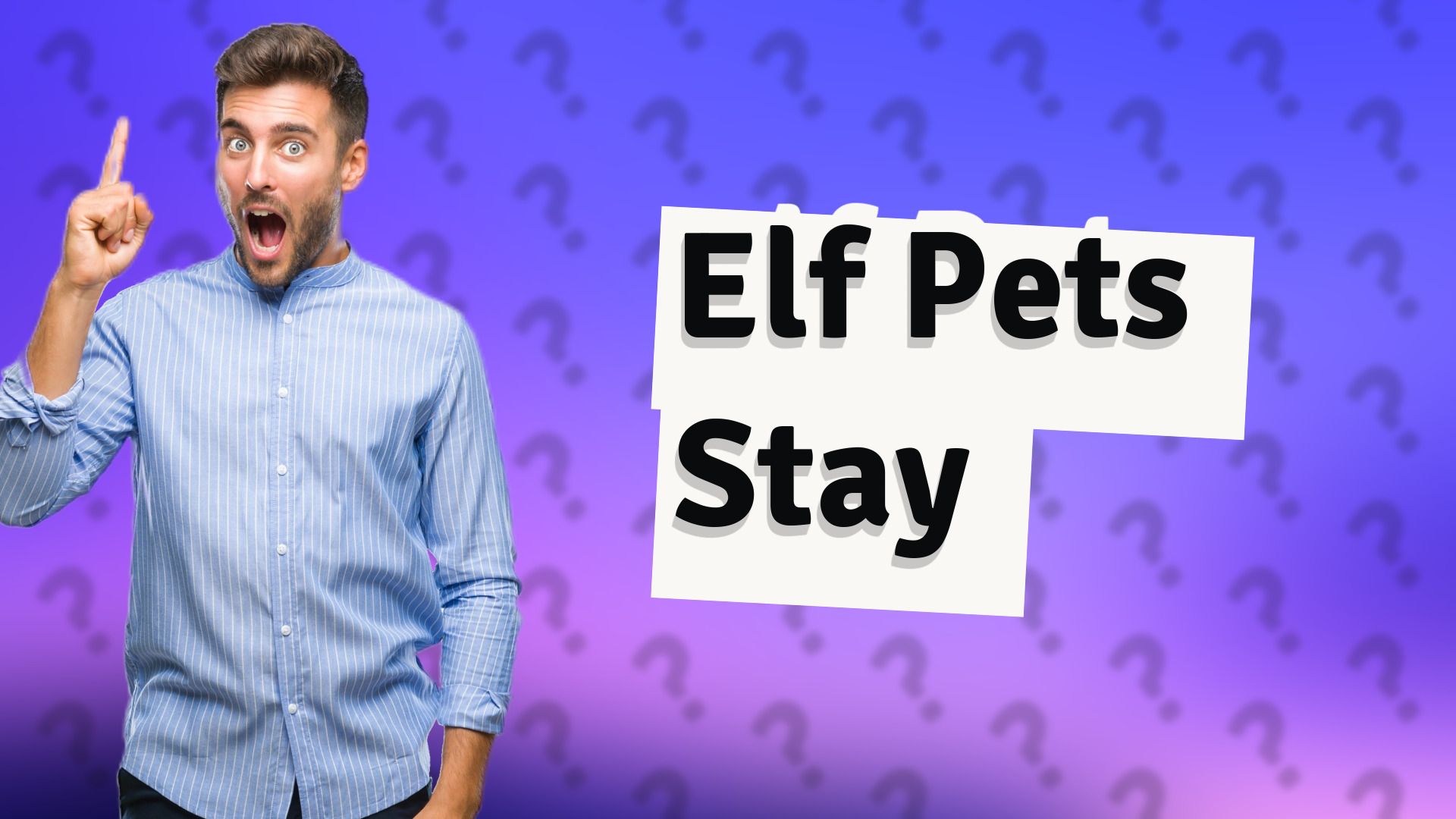 Elf Pets Stay