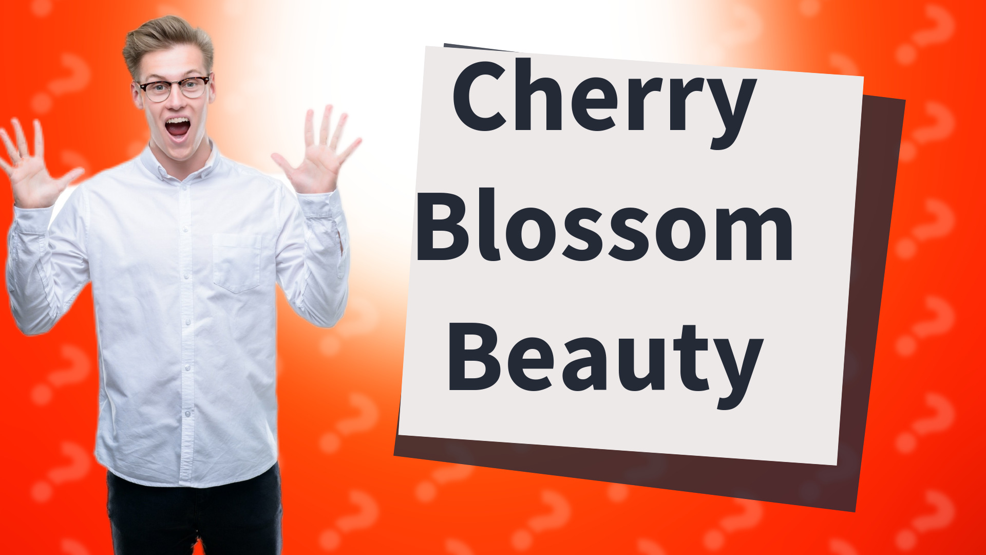 Cherry Blossom Beauty