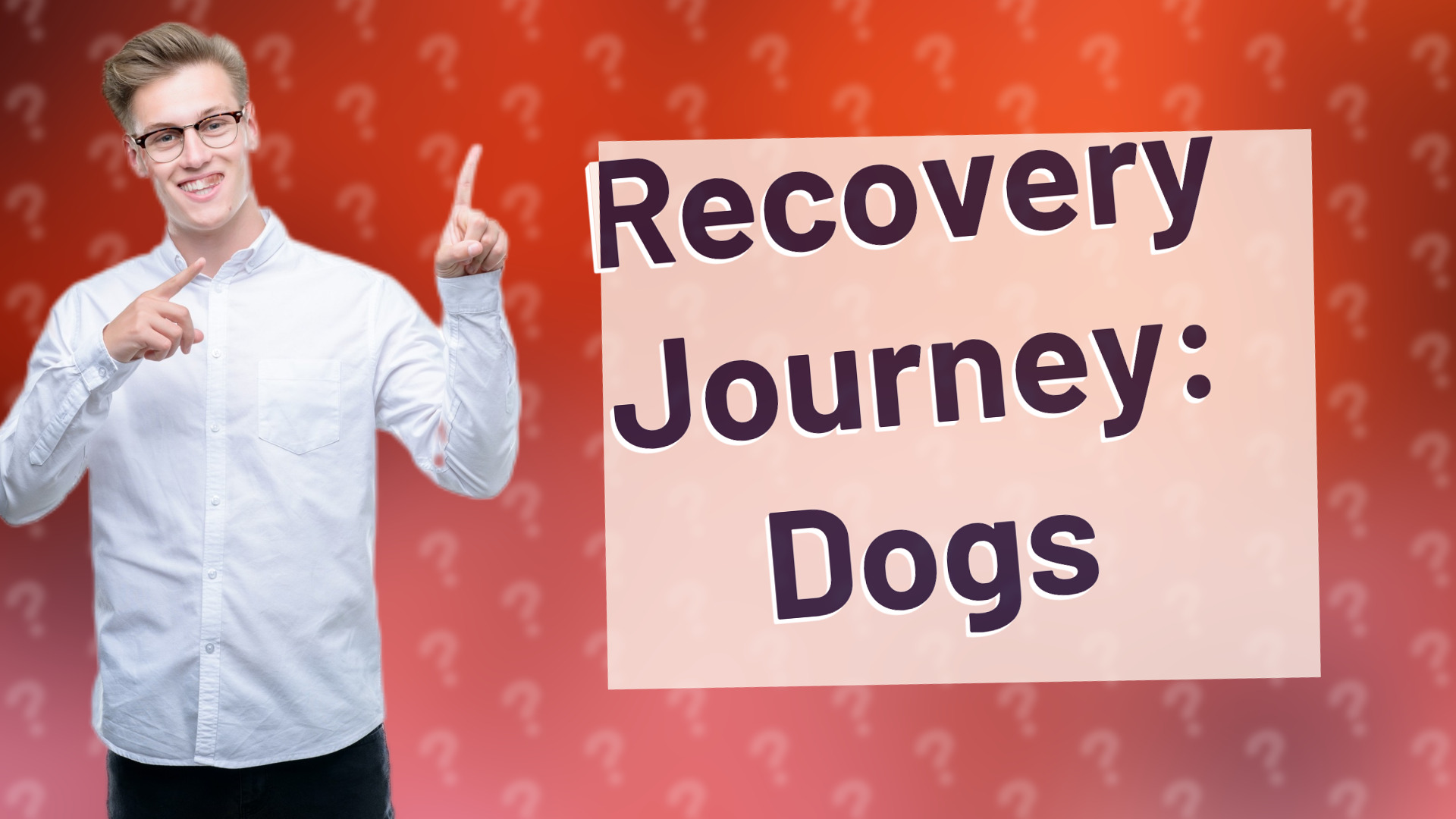 Recovery Journey: Dogs