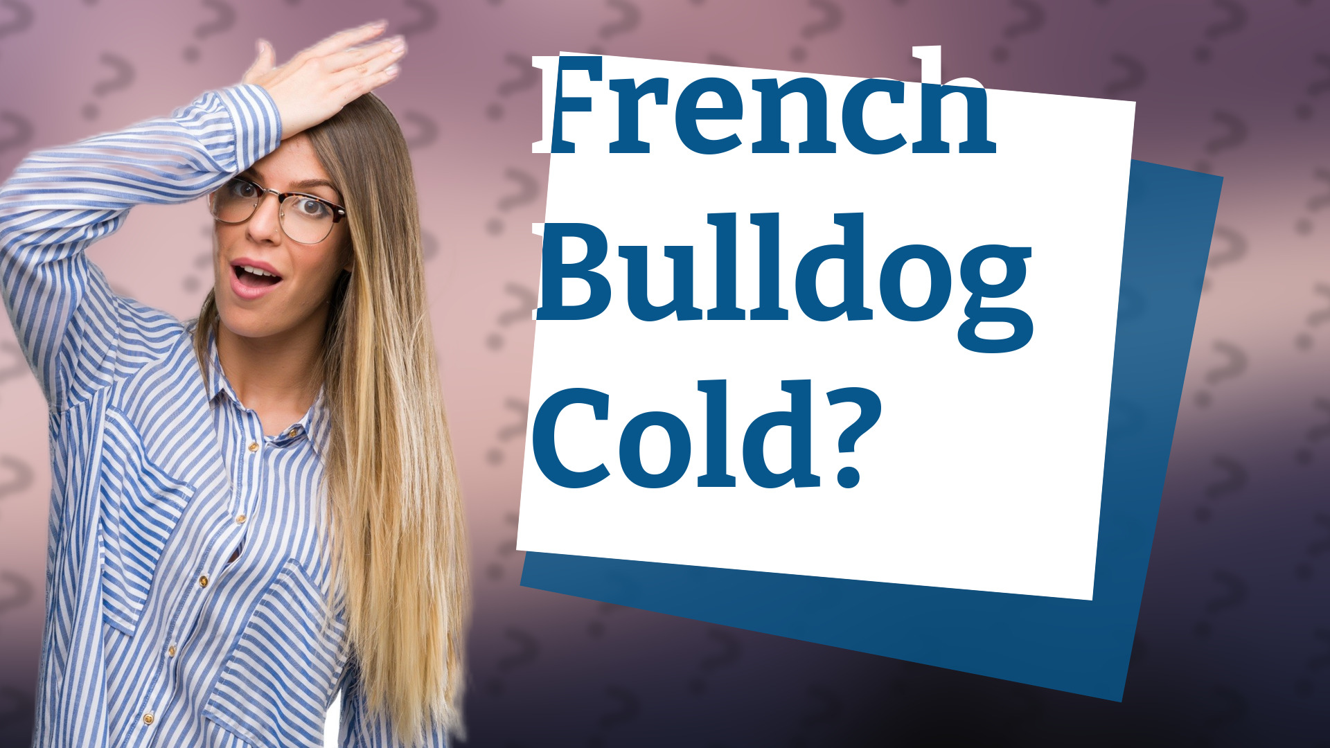 French Bulldog Cold?