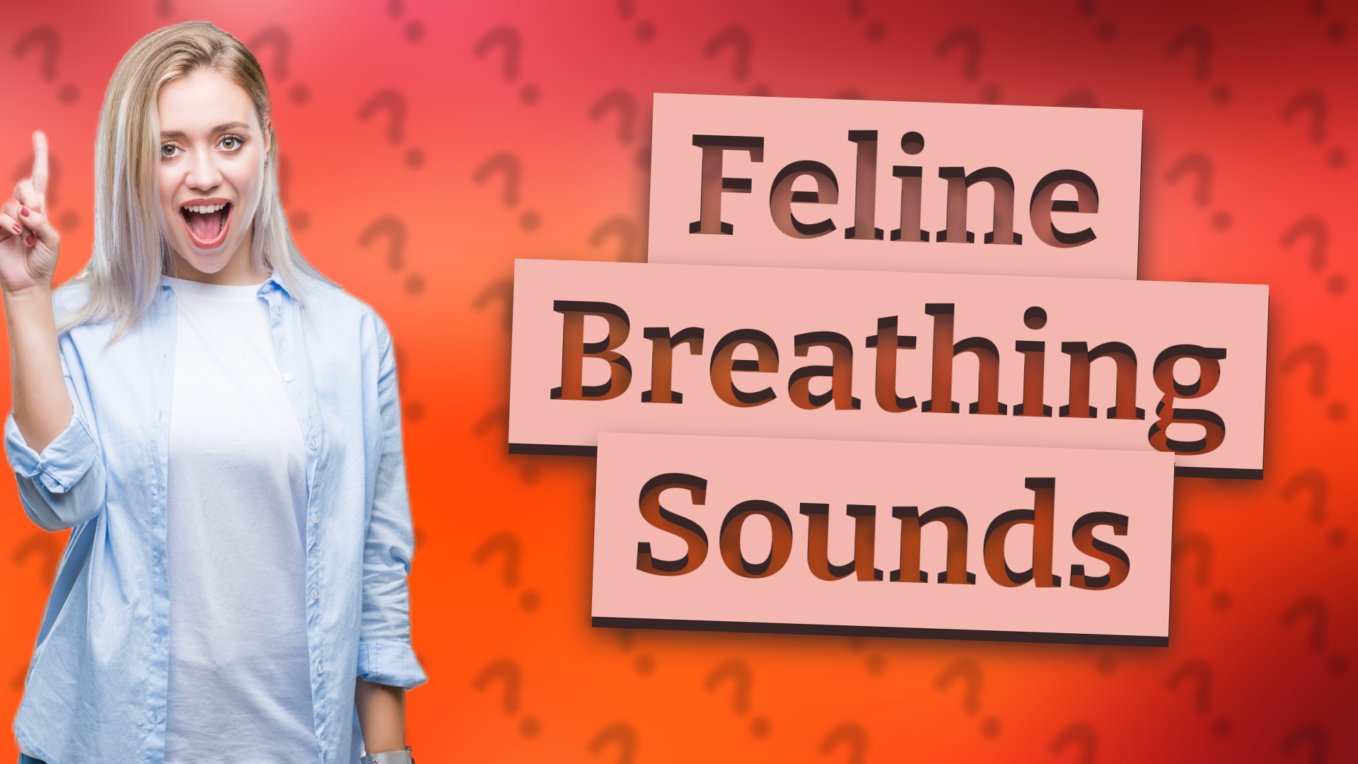 Feline Breathing Sounds