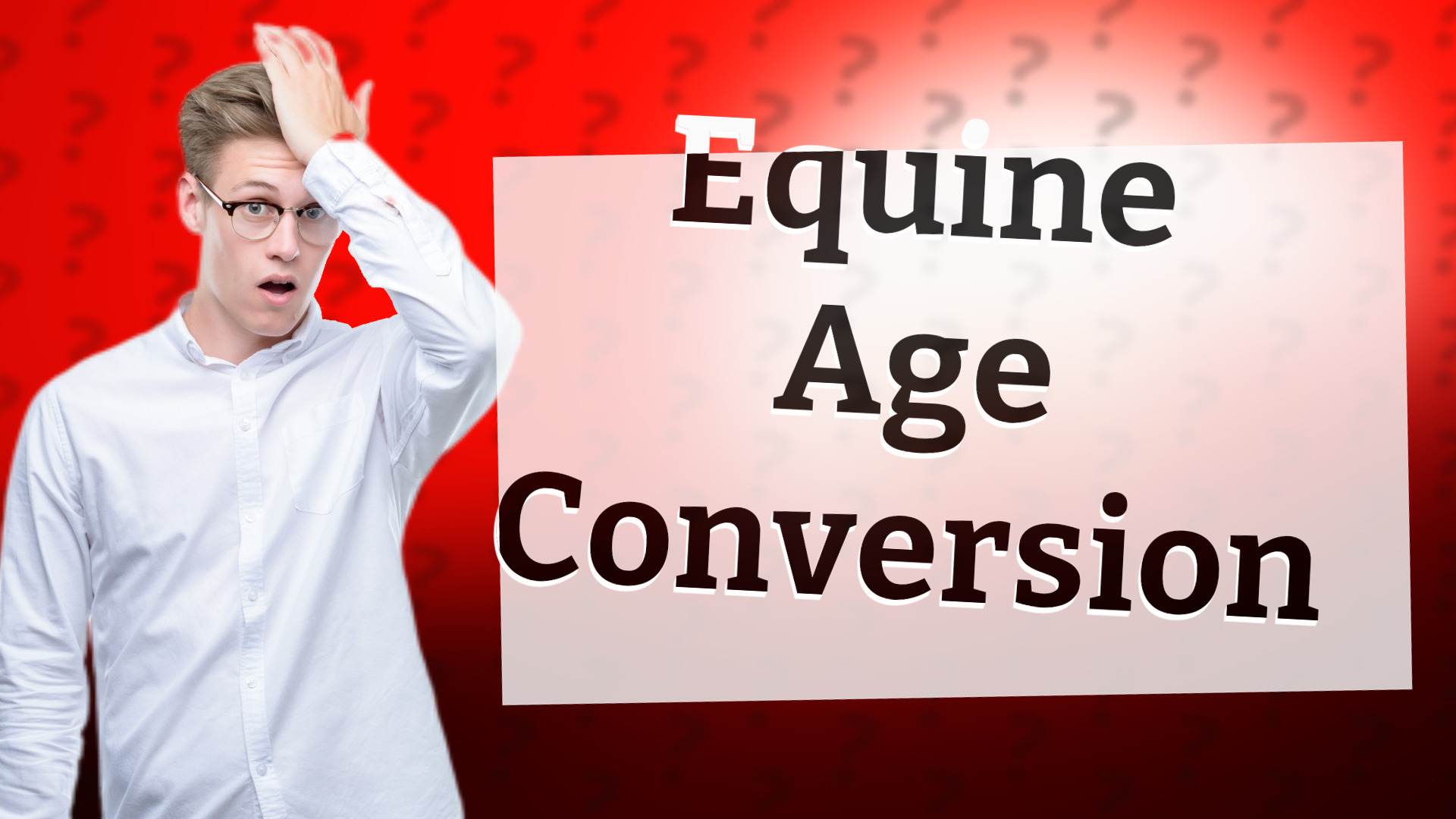 Equine Age Conversion