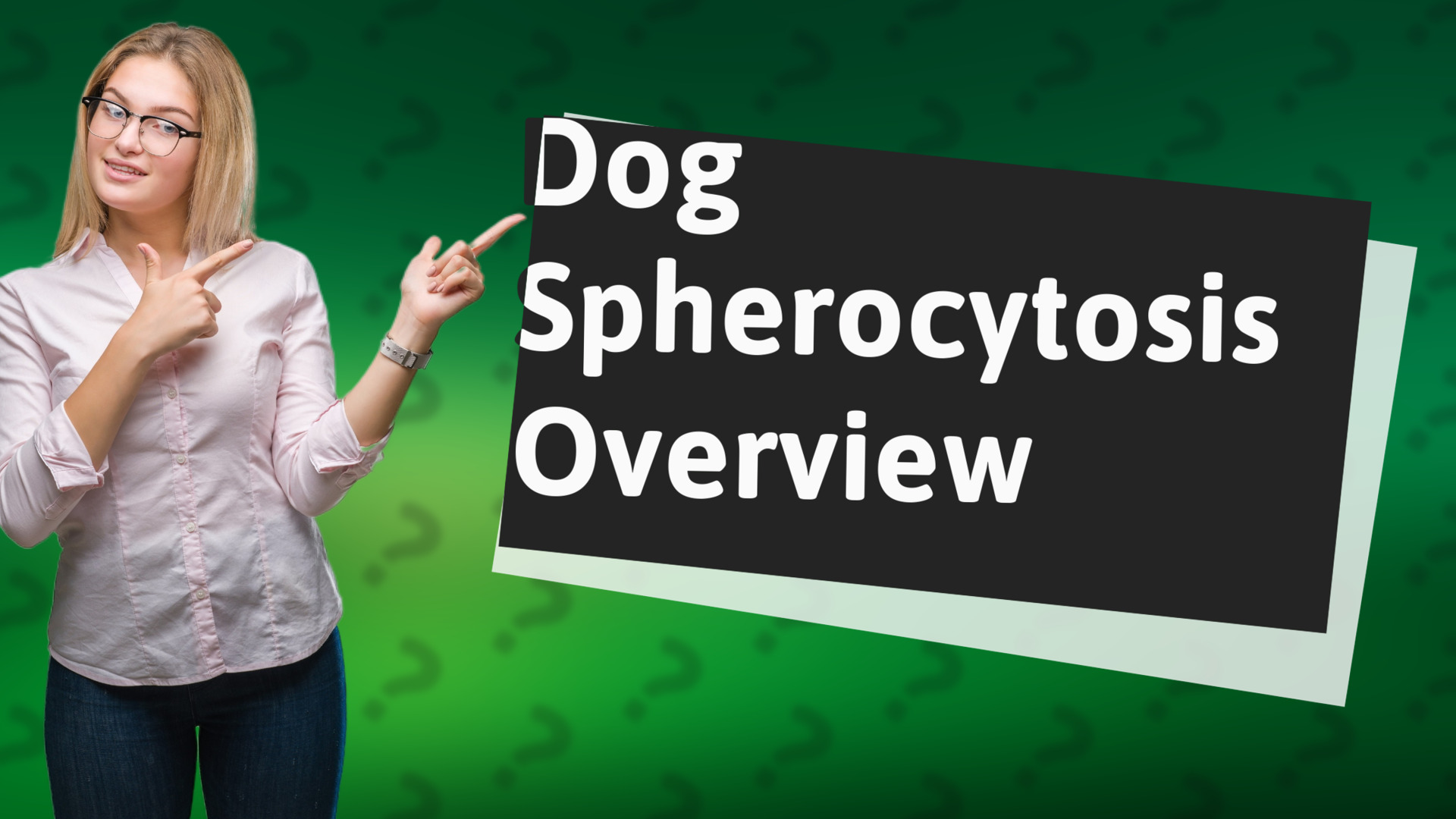 Dog Spherocytosis Overview