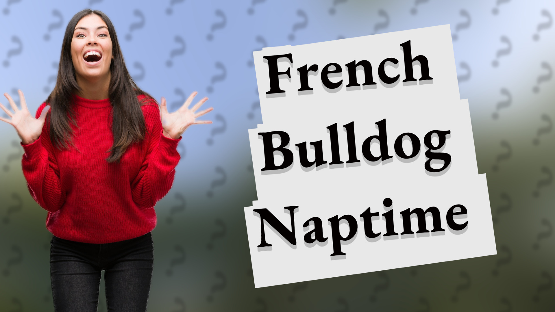 French Bulldog Naptime