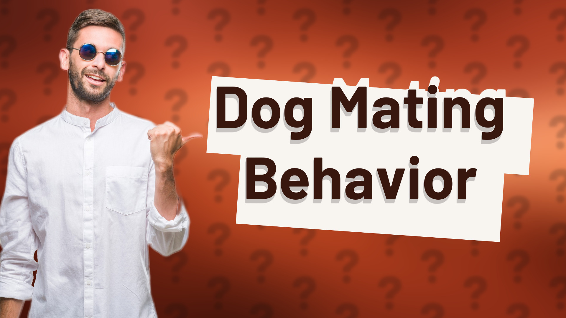 Dog Mating Behavior