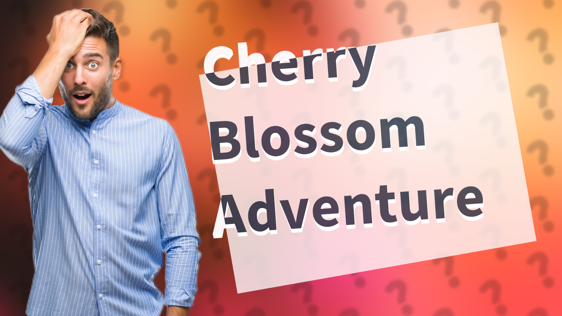 Cherry Blossom Adventure