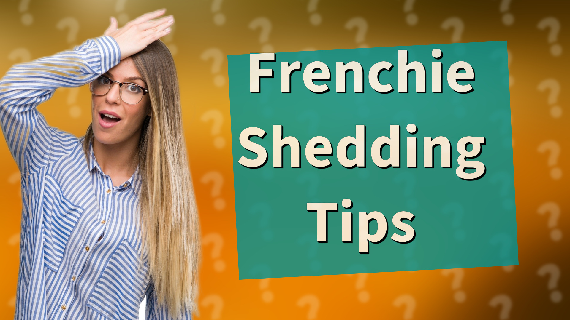 Frenchie Shedding Tips