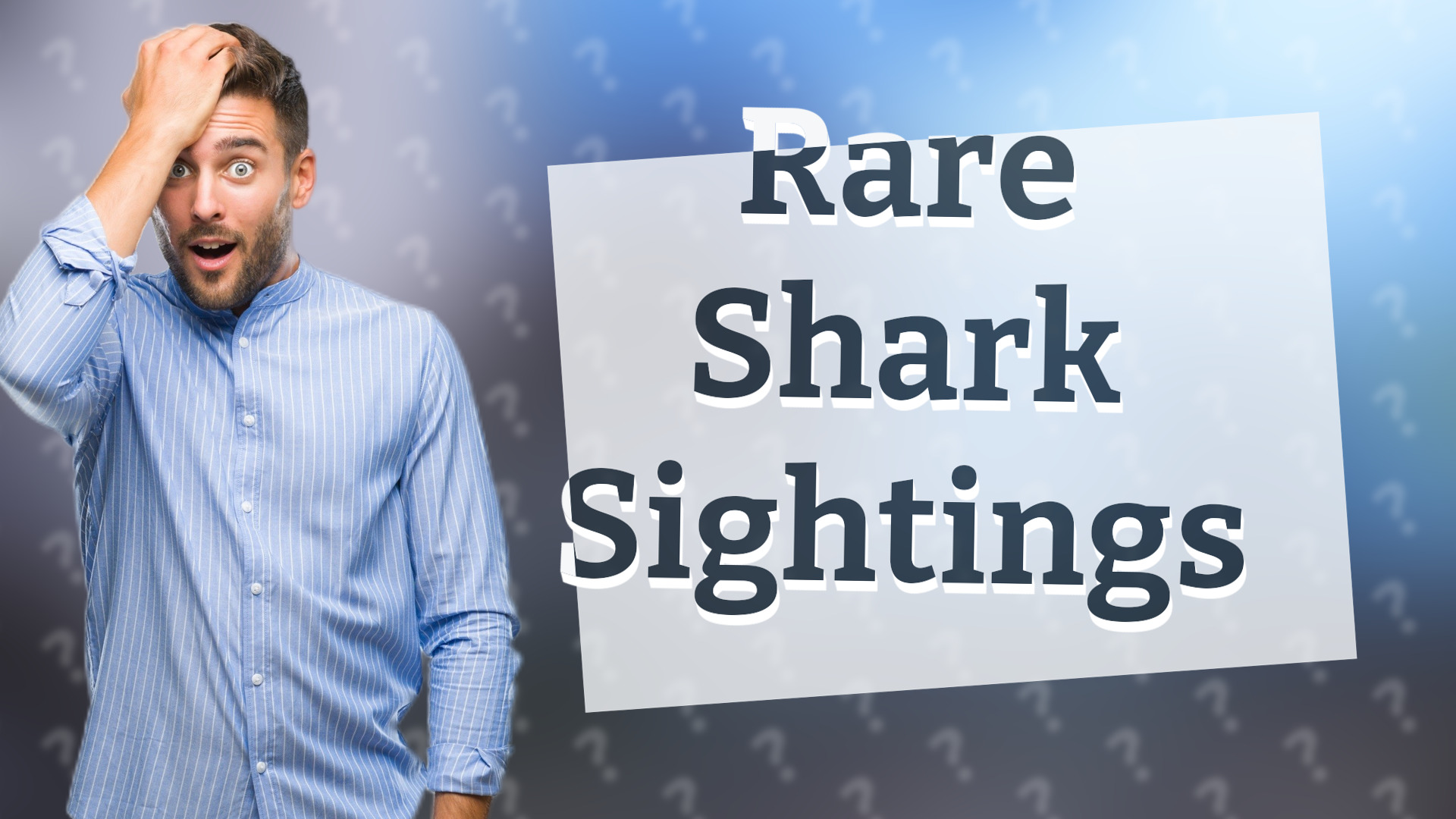 Rare Shark Sightings