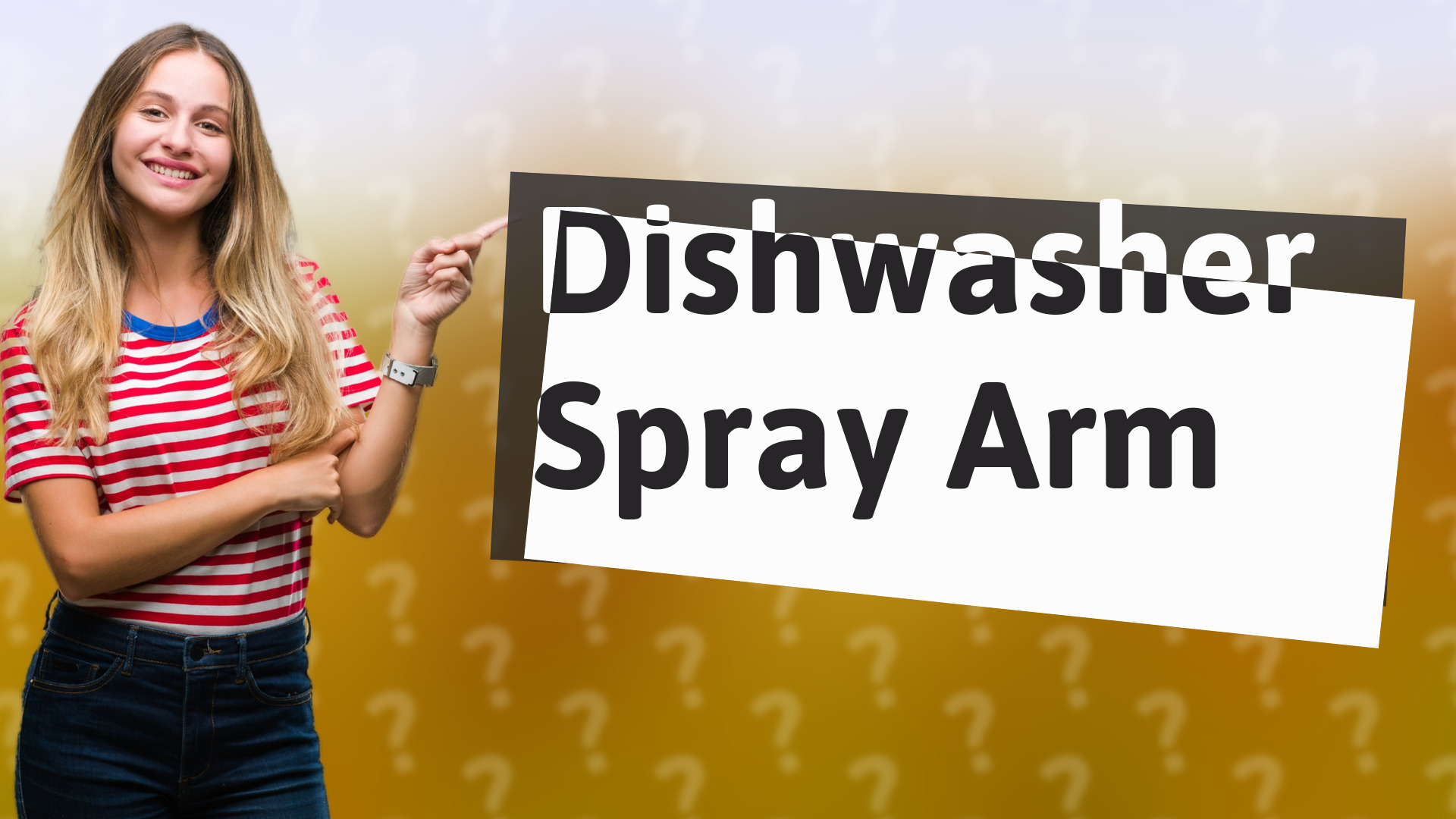 Dishwasher Spray Arm