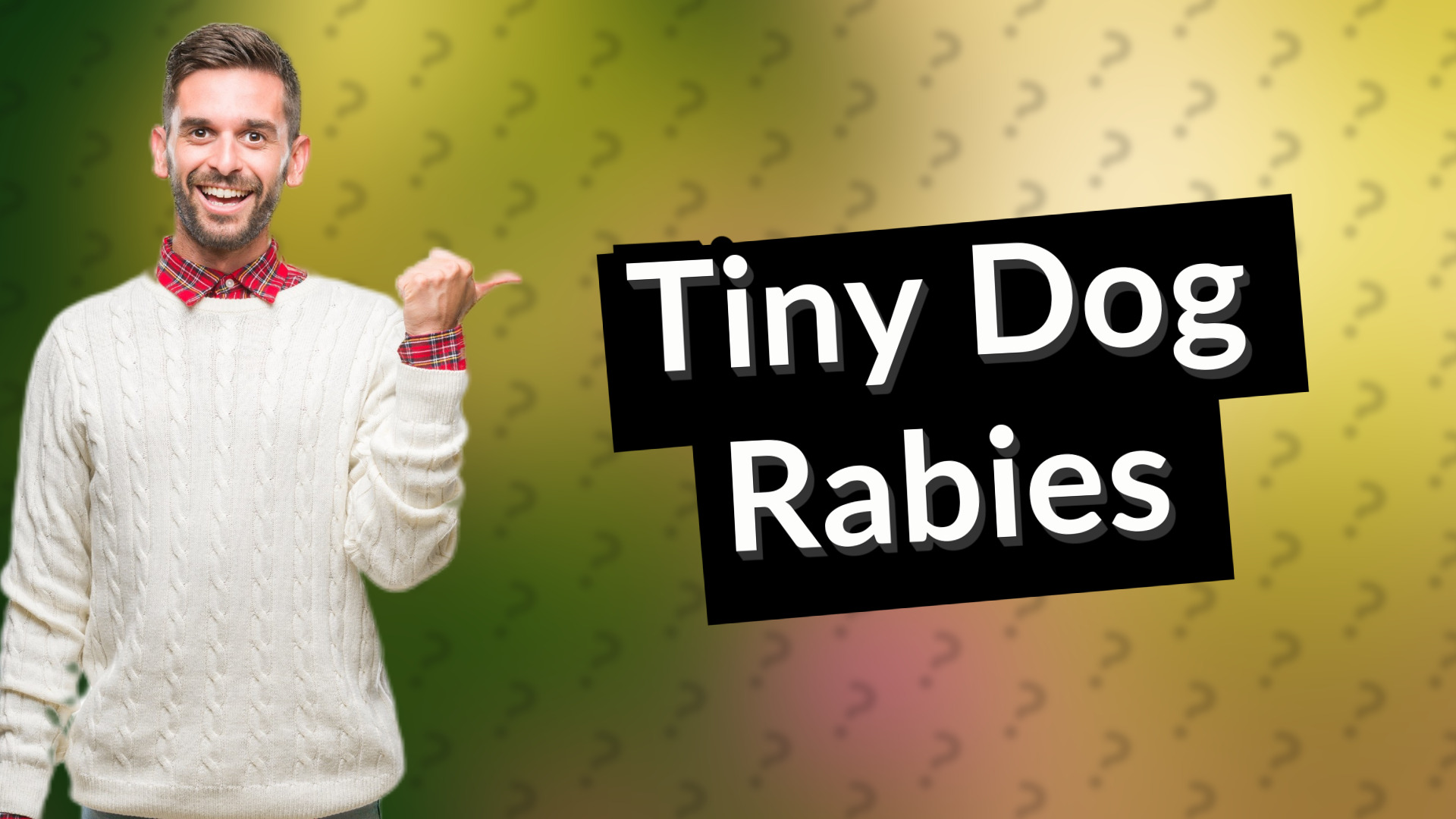 Tiny Dog Rabies
