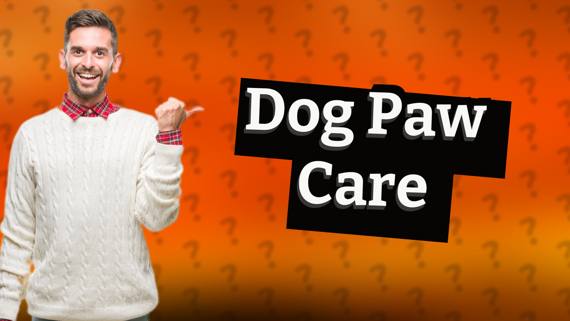 Dog Paw Care