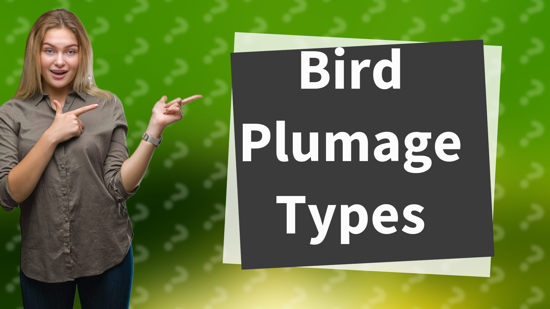 Bird Plumage Types