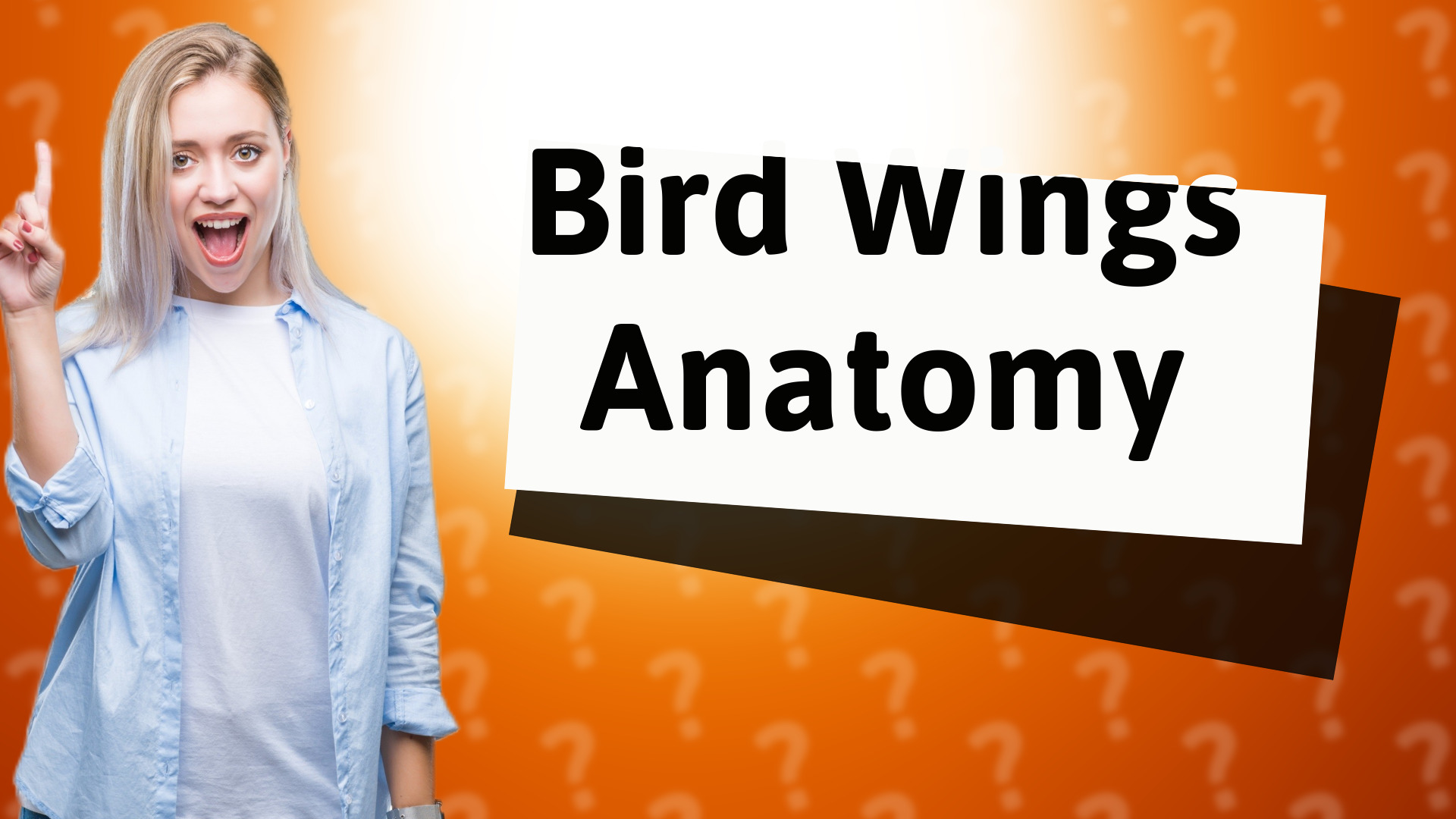 Bird Wings Anatomy