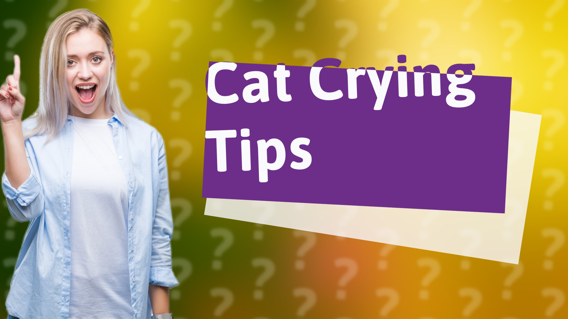 Cat Crying Tips