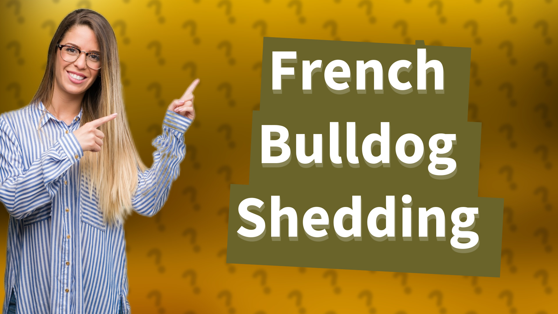 French Bulldog Shedding