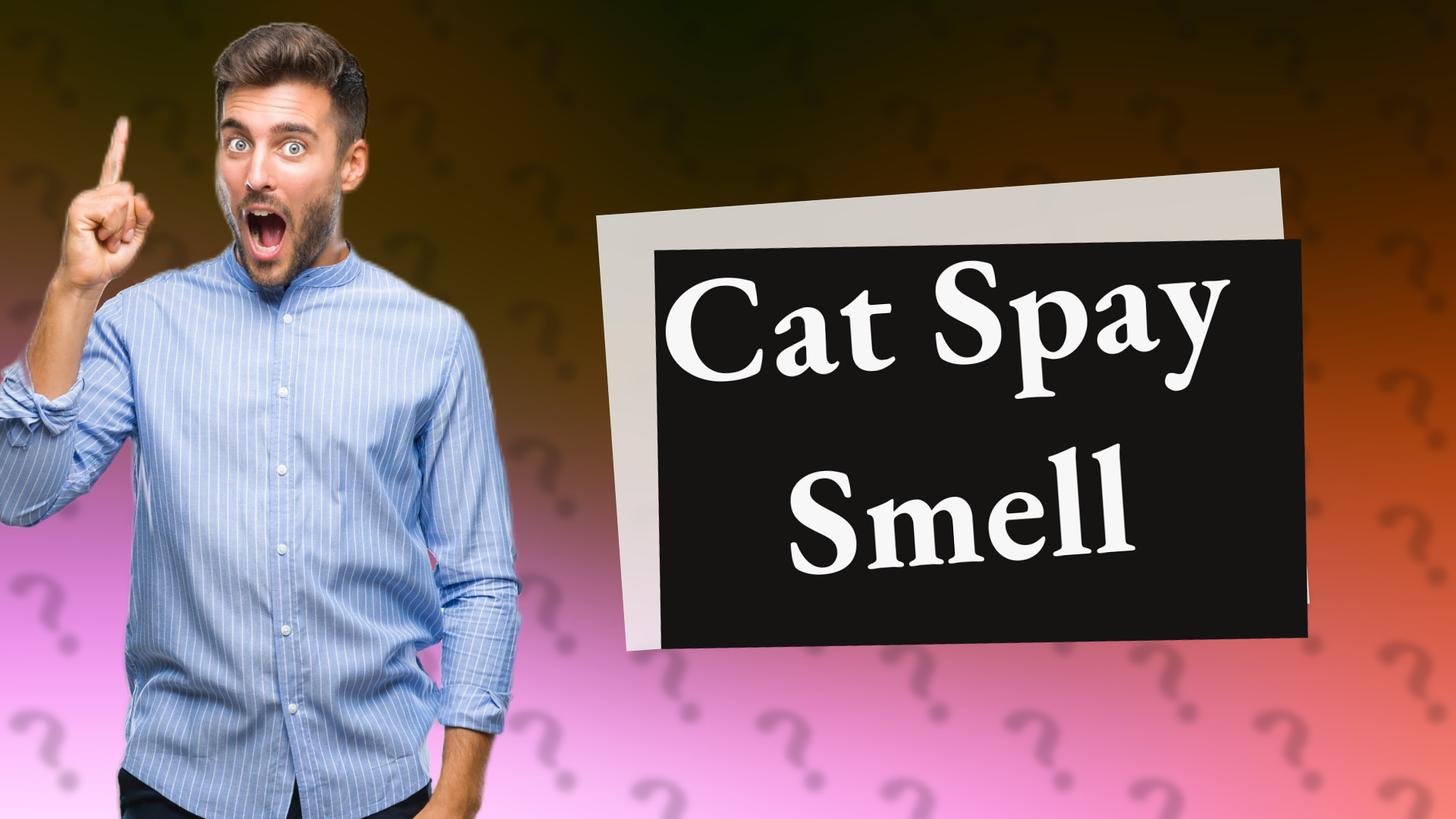 Cat Spay Smell