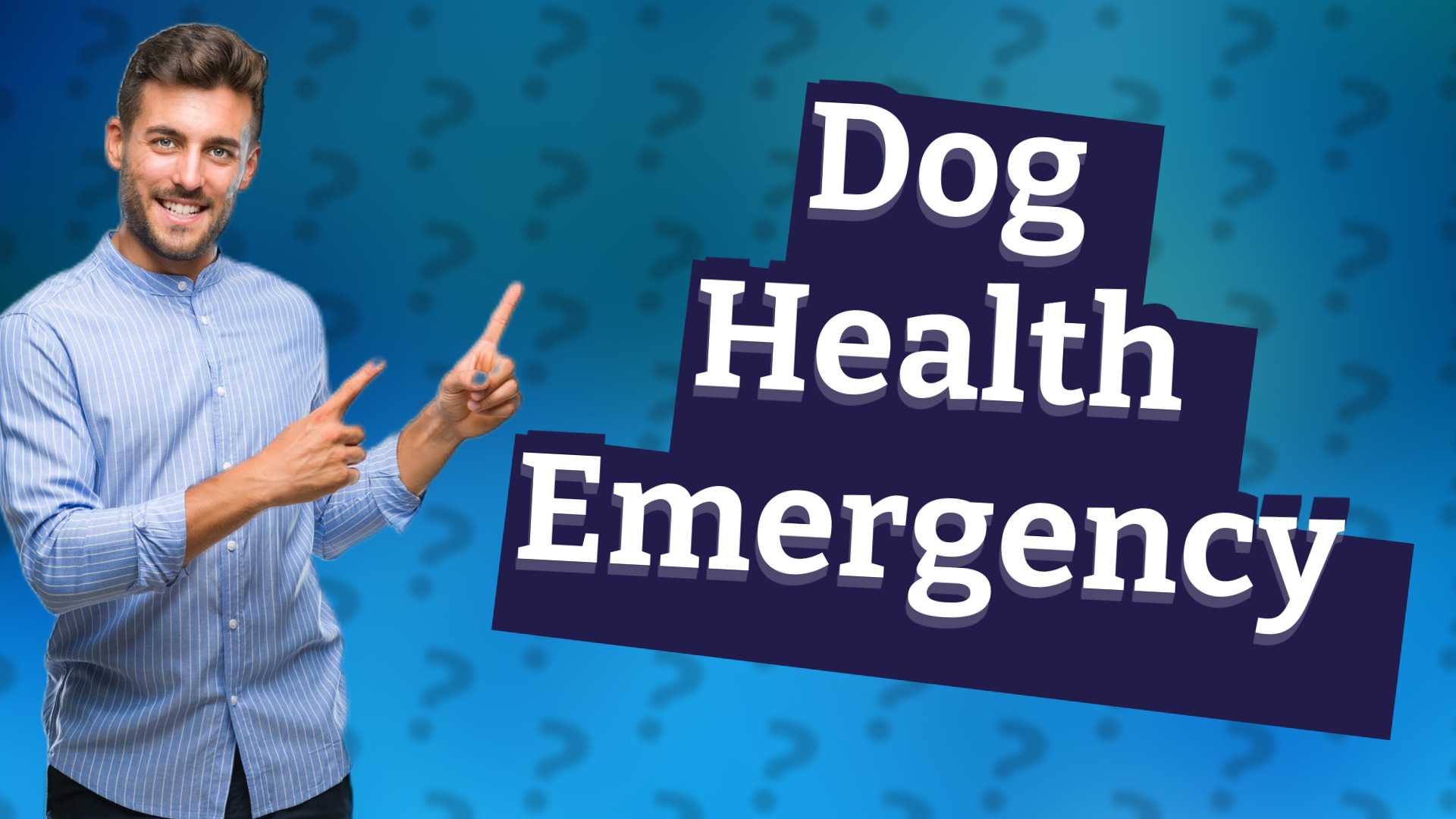 Dog Health Emergency