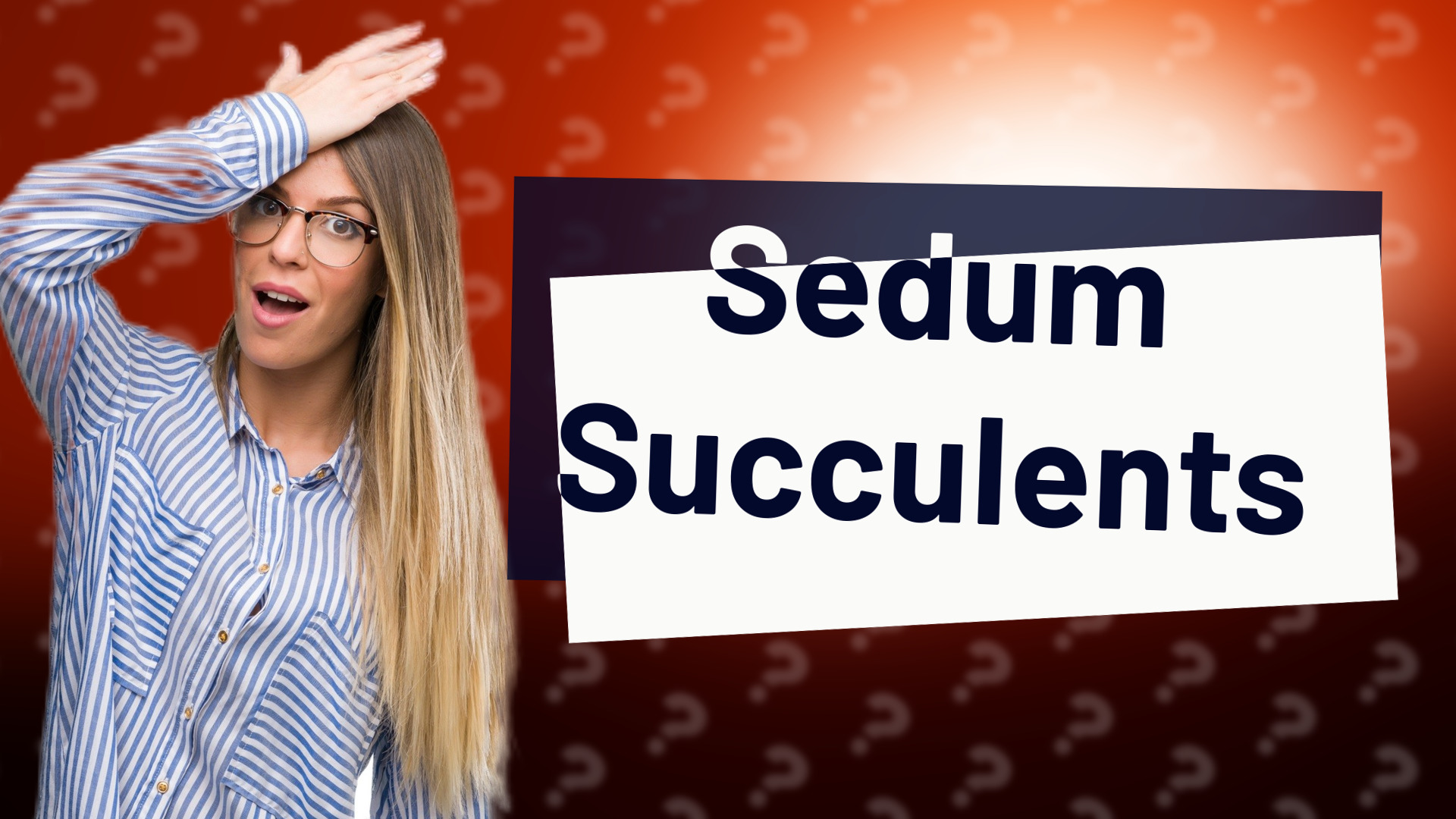 Sedum Succulents