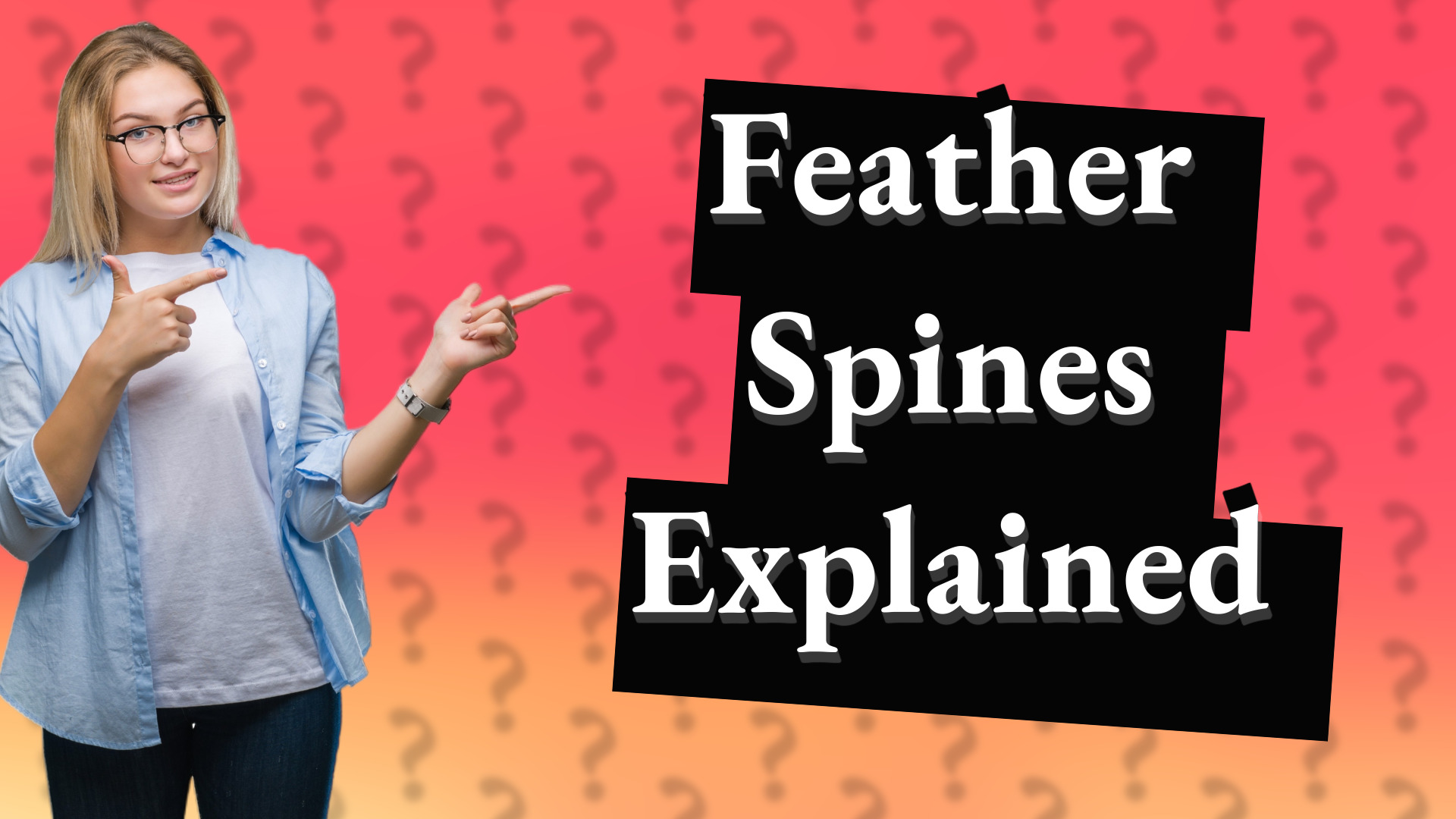 Feather Spines Explained